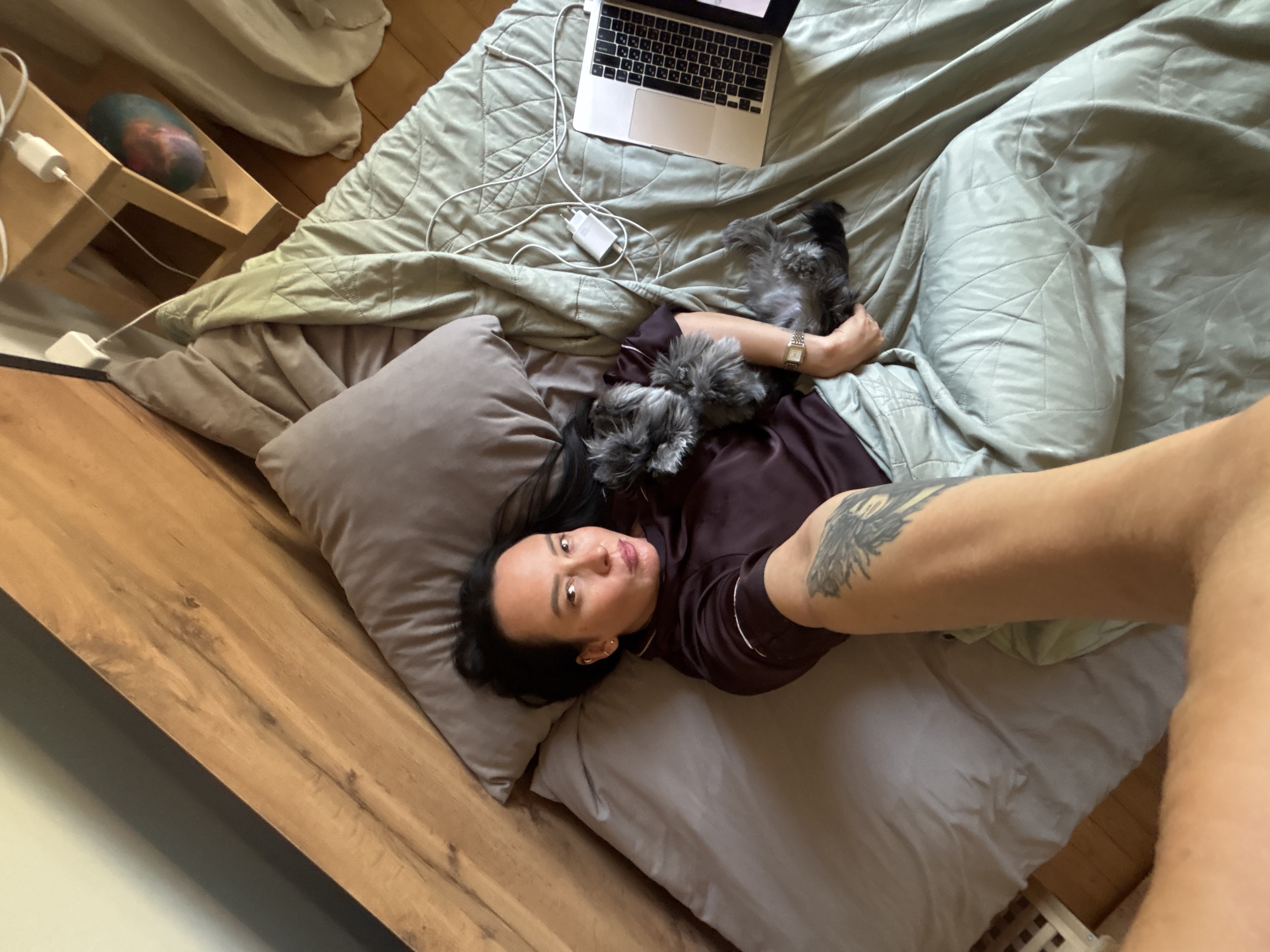 A person is lying on a bed with two small dogs. A laptop is on the bed near the person. The room appears to be a bedroom. The image provides no verifiable information about location within the city of Chaikovsky, Russia.