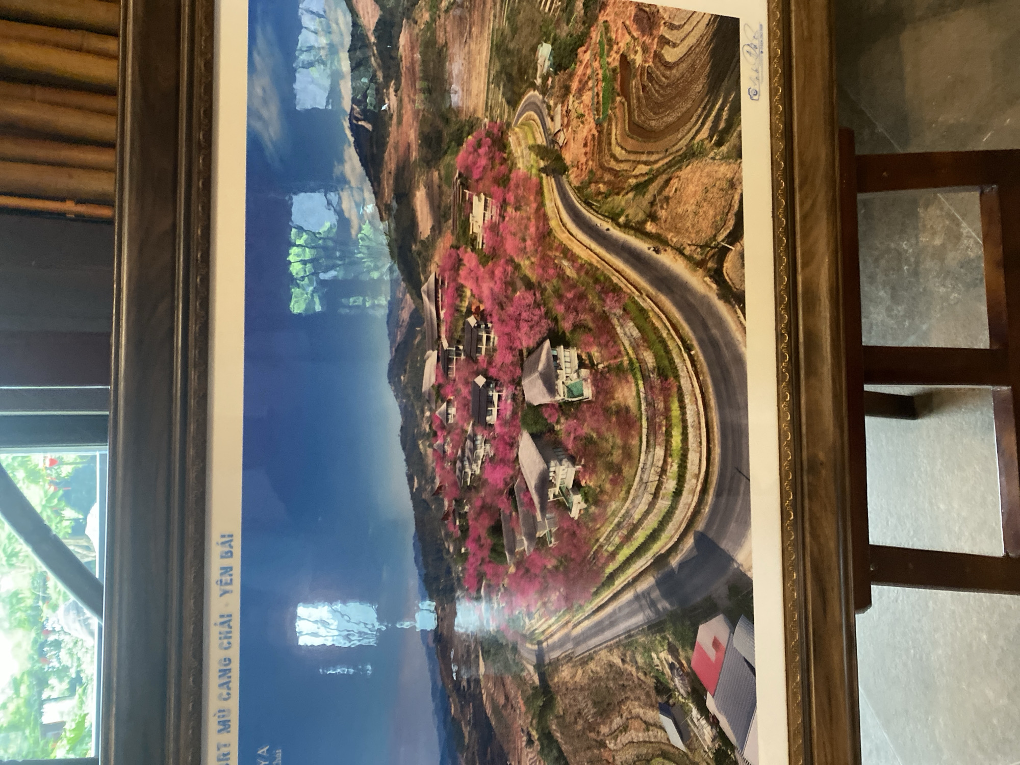 This image captures an aerial perspective of a mountainous landscape, specifically located in Púng Luông, Mù Cang Chải, Yên Bái Province, Vietnam. The scene prominently features a winding asphalt road that traverses the contours of the hills. Several multi-story buildings, likely part of a resort complex, are nestled into the slopes, predominantly surrounded by dense clusters of vibrant pink-flowering trees, possibly cherry blossoms. On the right side of the image, distinctive terraced fields are visible. The sky above is clear blue with sparse white clouds.
In the foreground, the image is presented within an ornate dark wooden frame, which rests on a dark wooden easel. Reflections are visible on the surface of the framed picture, showing segments of a window with green foliage outside, and other interior reflections. Text at the top left of the framed picture indicates "MÙ CANG CHẢI - YÊN BÁI", further confirming the location. There are no people visibly present in the landscape itself.