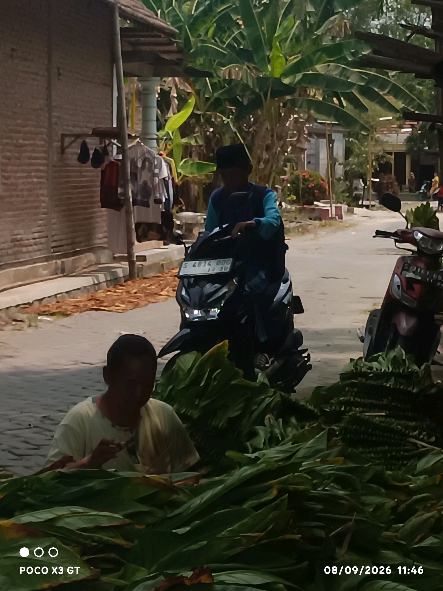 The image depicts an outdoor scene in Banjar Dowo, Indonesia, likely a residential or market area. In the foreground, a person wearing a light-colored t-shirt is seated amidst large piles of green leaves, appearing to be engaged in some activity with their hands. Behind them, a dark-colored motorcycle is parked, with its front headlight illuminated. Further in the background, another motorcycle, this one red, is also visible. A person wearing a blue and light blue shirt and a black cap is seated on the dark motorcycle. Clothing hangs on a rack attached to a brick building on the left side of the image, and banana trees are prominent in the background. The ground is paved, with fallen leaves scattered on the side. A timestamp in the lower right corner reads "08/09/2026 11:46". The overall impression is of a casual, possibly domestic, setting with elements of daily life.