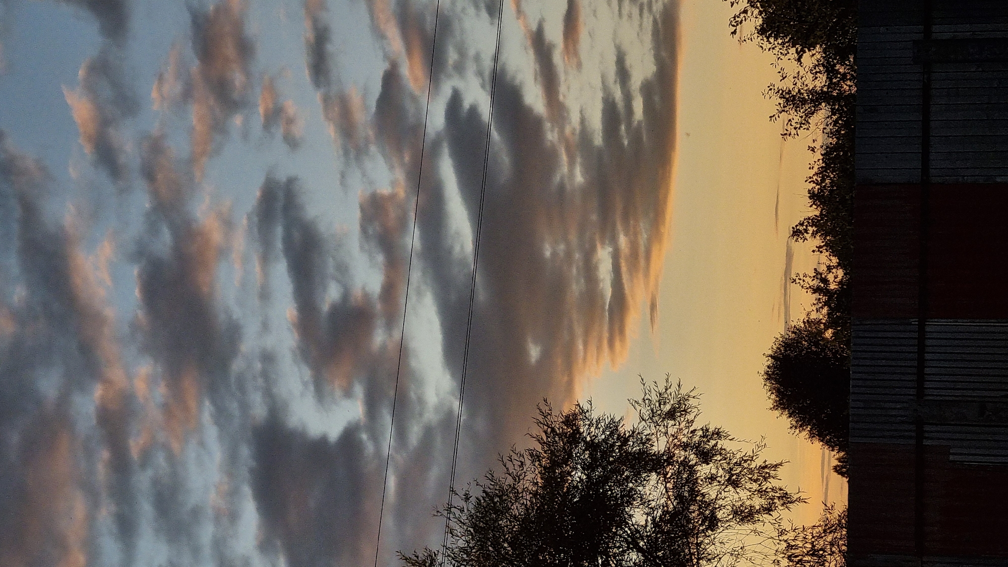 This is a vertical, eye-level, outdoor, medium-shot photograph taken in Vysokoe, Russia. The image depicts a twilight sky filled with scattered clouds. The clouds exhibit a gradient of colors, ranging from dark gray and muted purple to lighter shades of pink and peach, with hints of a pale blue sky peeking through. The horizon line is low in the frame, dominated by a silhouette of trees and foliage against the warm glow of the setting sun. A corrugated metal fence runs horizontally across the bottom third of the image, partially obscuring the lower portions of the trees. Two thin, dark wires stretch diagonally across the upper portion of the sky. The overall atmosphere is serene and indicative of the transition from day to night.