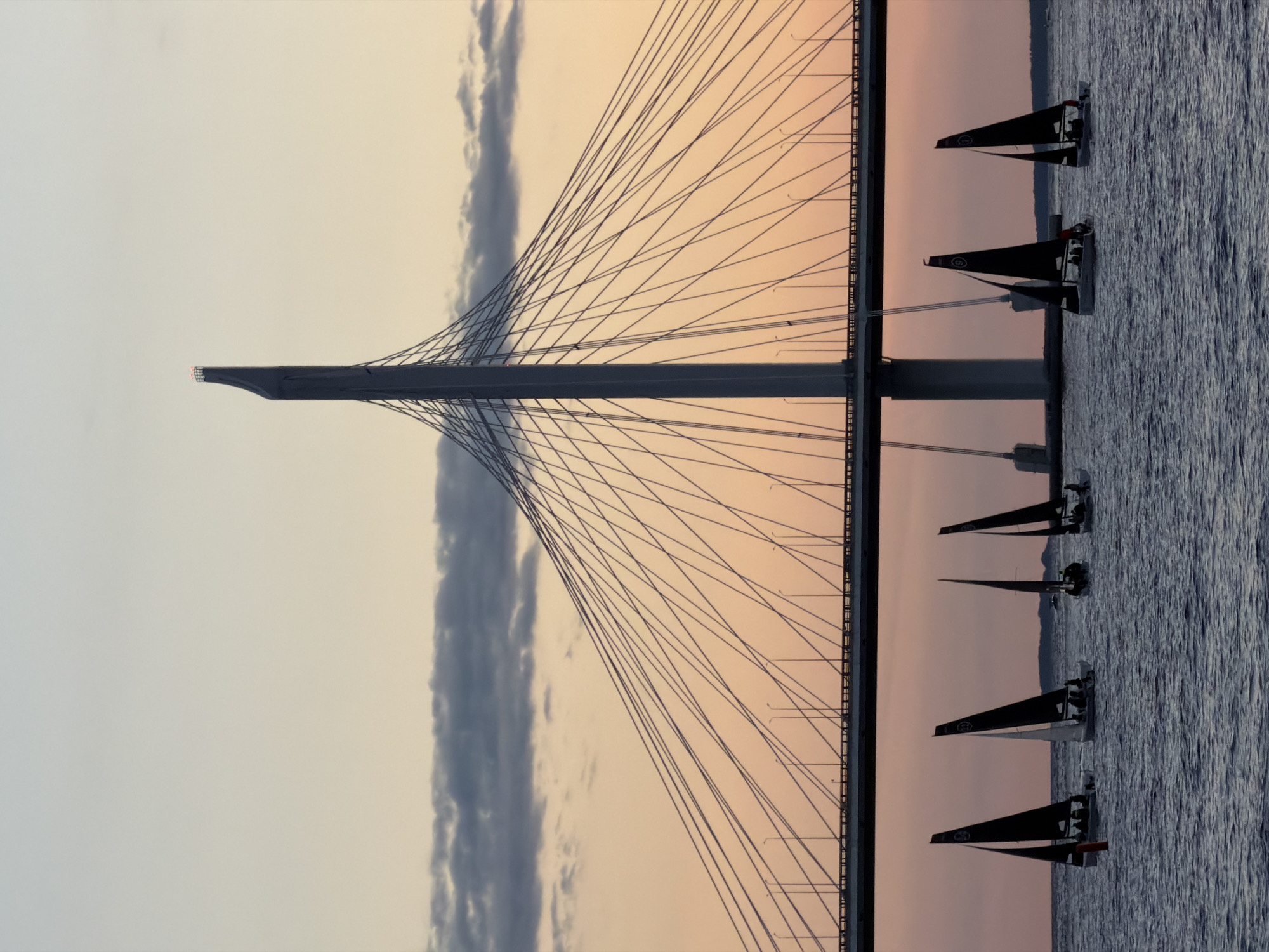 The image captures a fleet of sailboats with black sails navigating the waters of the Gulf of Finland near Saint Petersburg, Russia, beneath the impressive structure of the cable-stayed bridge. The sky is a gradient of pale blue to soft orange, indicating either dawn or dusk, with scattered clouds adding texture. The bridge's imposing tower and intricate network of cables dominate the upper half of the frame, silhouetted against the colorful sky. The sailboats, small and numerous, are spread across the water, their dark sails creating a stark contrast against the lighter hues of the sea and sky. A few indistinct figures are visible on board the sailboats. The overall scene conveys a sense of nautical activity set against a dramatic urban and natural backdrop.