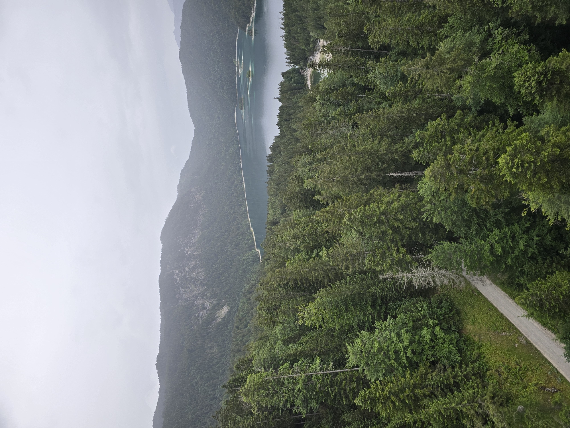 The image depicts a wide, elevated view of a serene natural landscape, likely the Eibsee lake near Grainau, Germany. The foreground is dominated by a dense forest of tall, dark green coniferous trees, with some lighter green deciduous trees interspersed. A narrow, winding dirt road is visible cutting through the forest on the left side of the image, appearing to lead deeper into the woods.
In the midground, the forest gives way to a large, calm lake with clear, turquoise-blue water. Several small, tree-covered islands are scattered across the lake's surface. The water is placid, reflecting the overcast, grey sky.
The background consists of rolling, tree-covered mountains that fade into a hazy distance, also under a soft grey sky, suggesting a cloudy or misty day. The overall atmosphere is tranquil and natural, with no signs of human activity other than the dirt road.