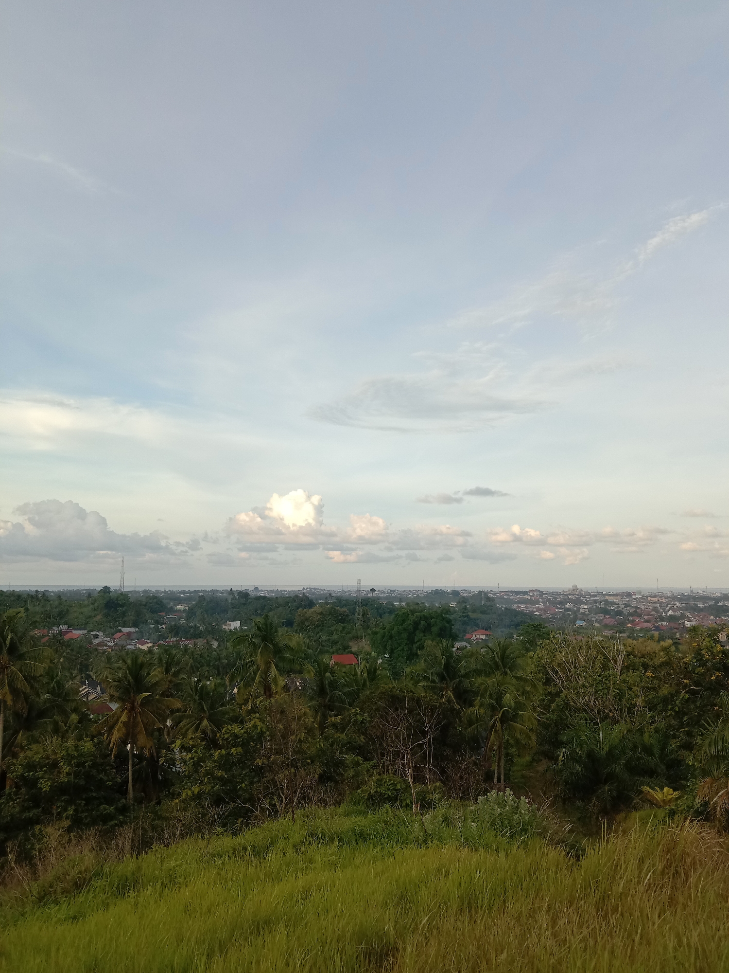 The image shows a view overlooking Lhokseumawe, Indonesia. The foreground consists of tall green grass on a hillside. Behind this, there is a dense collection of trees, including palm trees and other vegetation. In the mid-ground, rooftops of houses are visible amidst the trees. The background includes a distant cityscape stretching along the horizon, meeting a cloudy sky. There are a couple of telecommunications towers on the far horizon. The sky is predominantly white and light blue with scattered clouds.