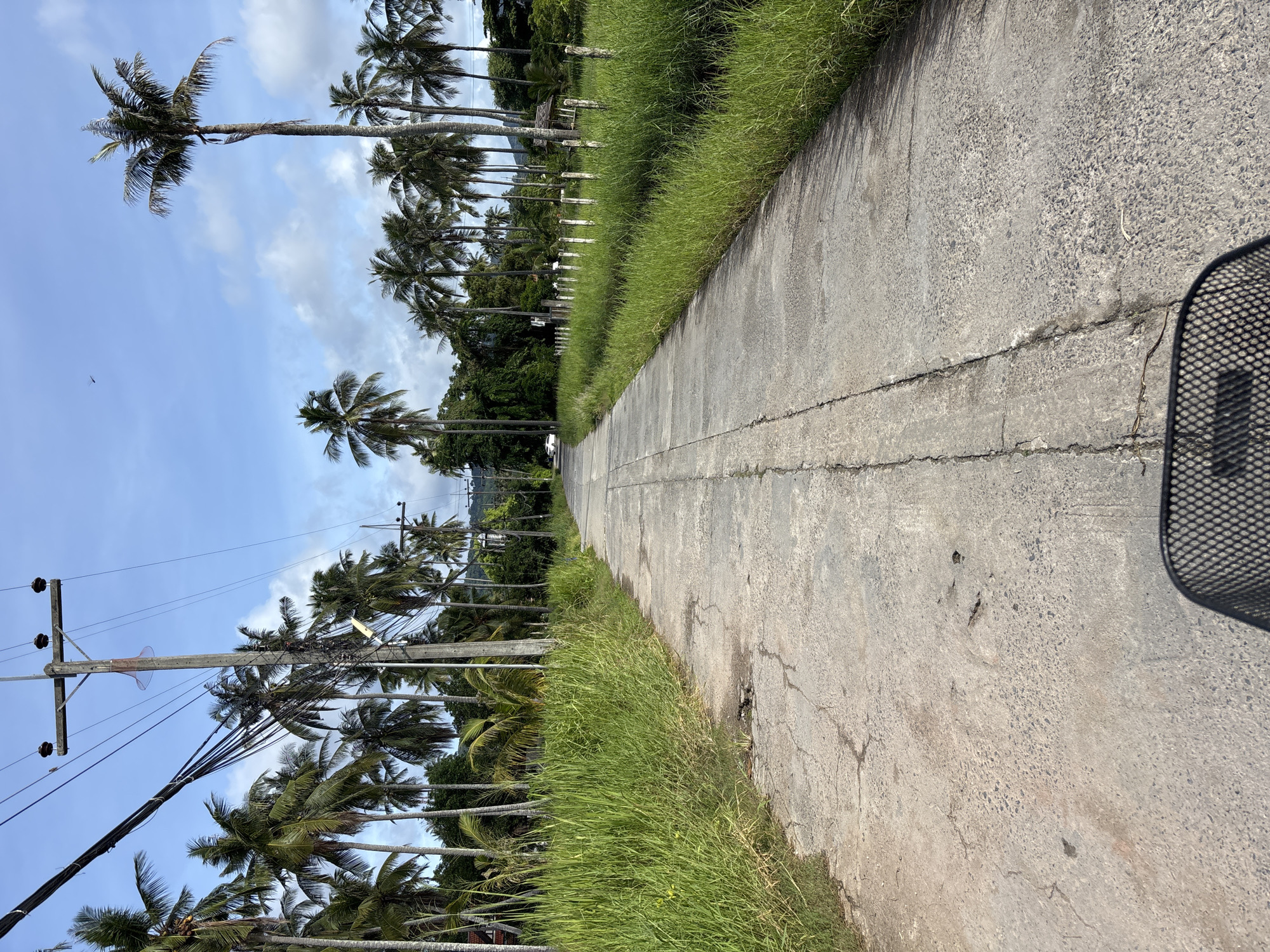 The image shows a paved road in Chalong, Thailand, lined with tall coconut palm trees and lush green grass. The road is cracked and worn, suggesting it's an older pathway. Utility poles with numerous wires run along the left side of the road, adding to the rural feel. The sky is partly cloudy with a bright blue hue. In the foreground, a black wire basket, likely from a bicycle or scooter, is visible, suggesting the image was taken from a moving vehicle. The overall scene depicts a tranquil, tropical environment typical of a less developed area in Chalong, Thailand.