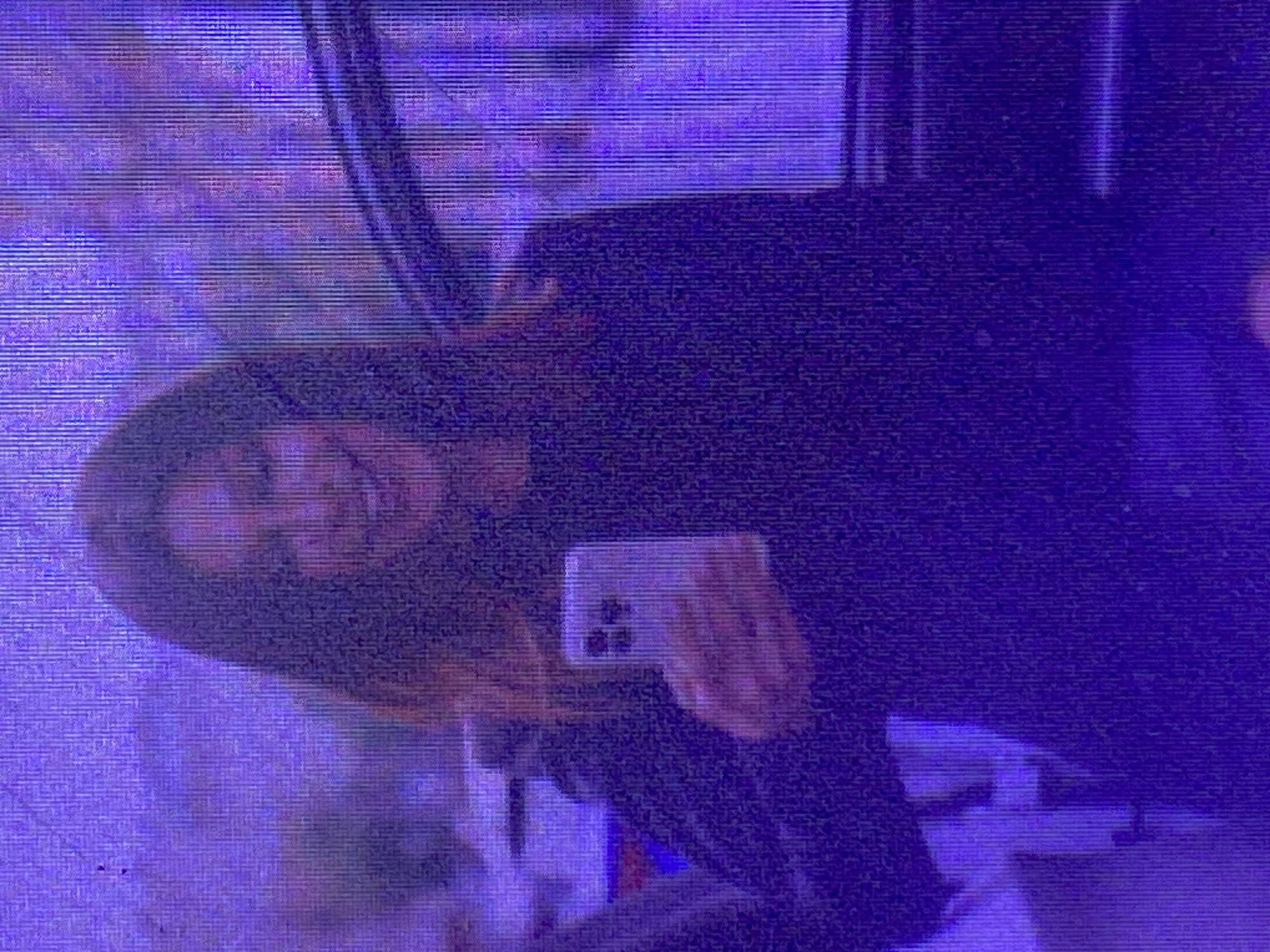 The image appears to be a low-resolution, distorted, or digitized photograph with a predominant purple hue, suggesting it may have been taken in low light or with a specific filter. The primary subject is a person, possibly a woman, whose face is partially visible in the upper left quadrant. She has dark hair and is looking towards the camera, with a slight smile. She is wearing dark clothing. In her right hand, she is holding a smartphone, which is positioned to capture a selfie or record a video. The phone's camera array is visible. The background is largely obscured by the purple saturation and digital noise but hints at an indoor setting with some vertical lines that could be reflections or structural elements. There is no discernible text in the image. Given the context of Ikorodu, Nigeria, the scene could be a casual moment captured indoors in a residential or social setting. The lighting and quality of the image make it difficult to ascertain the time of day or specific environmental conditions. The overall mood is somewhat obscured by the image quality, but the visible smile suggests a positive or relaxed emotional state.