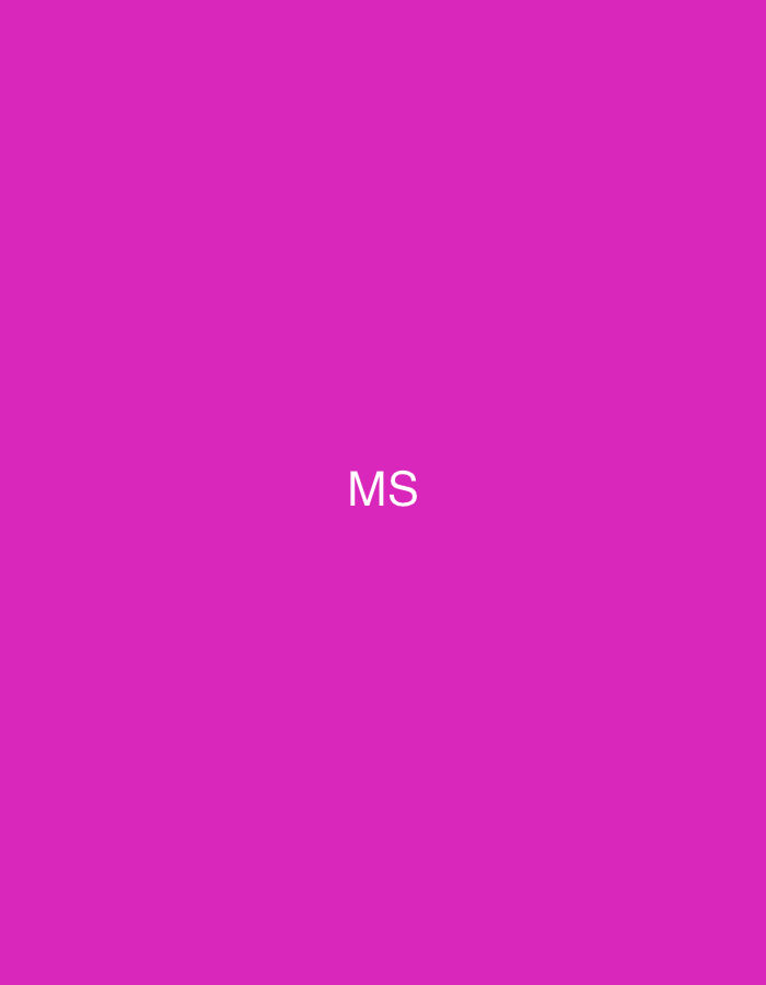 The image displays a solid, uniform magenta background. Centered horizontally and slightly below the vertical midline, the white sans-serif capital letters "MS" are rendered. There are no other discernible subjects, objects, people, actions, interactions, or environmental details within the frame. The image provides no visual information to indicate a specific geographic location, including within the city of Casablanca, Morocco.