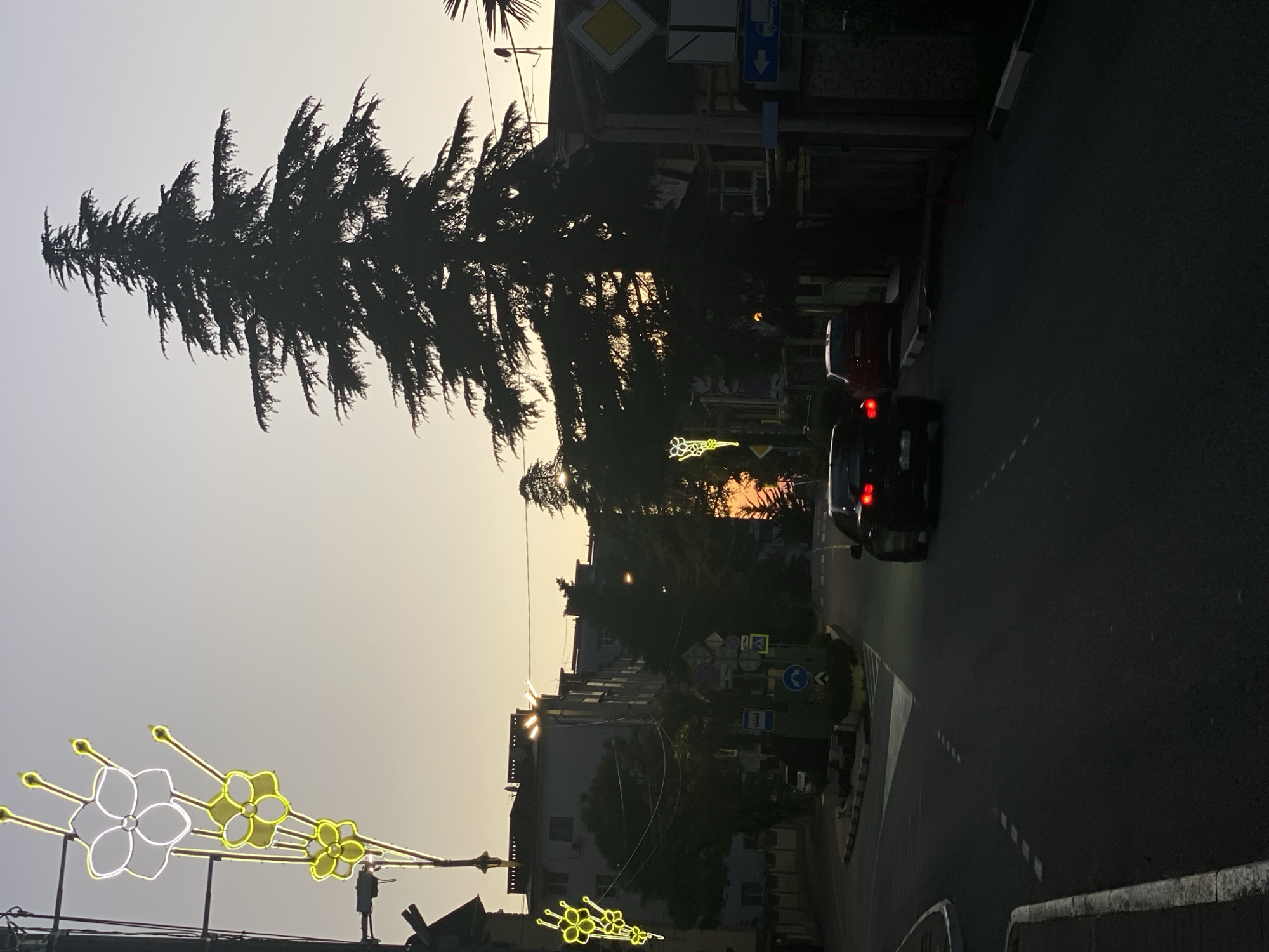 This photograph captures a street scene in Sochi, Russia, taken during the day.
The image shows a view of a street corner. Two cars are visible on the road; one is red, the other black. Along the roadside, there are buildings. The sky is light and appears to be dawn or dusk, with the sun just below the horizon. Trees line the street, and festive flower-shaped decorations are attached to streetlights. A solitary figure stands near a streetlight. Road signs are placed on the side of the street.