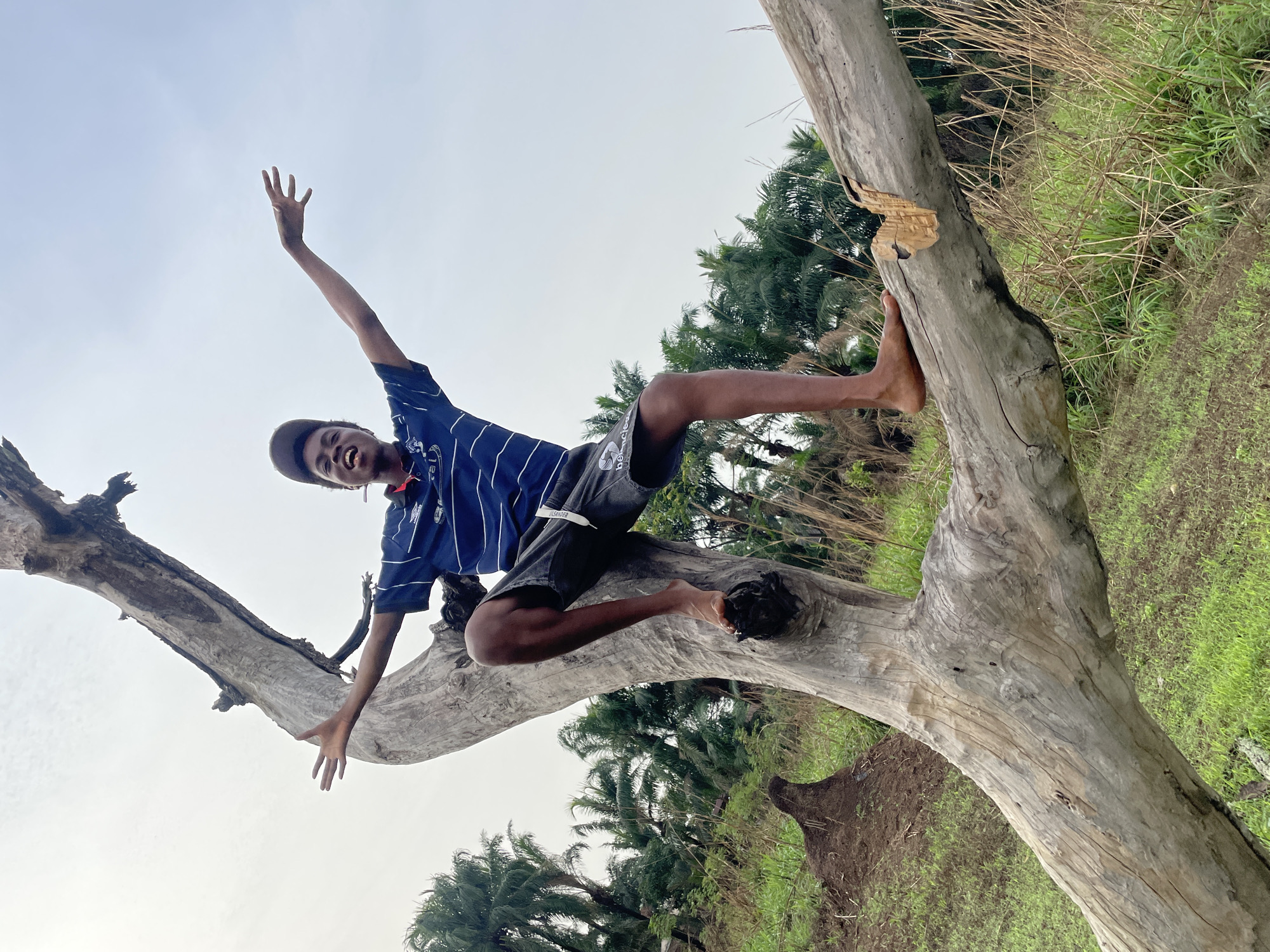 A young man is sitting barefoot on a large, dead tree trunk. He has one arm raised high in the air and his mouth is open in a smile or shout. He is wearing a dark cap, a blue and white striped t-shirt, and dark shorts. The tree trunk is light gray in color, and the background features a cloudy sky and various trees, including palm trees, suggesting a tropical environment. The image appears to be taken in a natural or rural setting, possibly on the outskirts of the city Agba Umana, Nigeria. There is green vegetation visible in the background around the base of the tree.