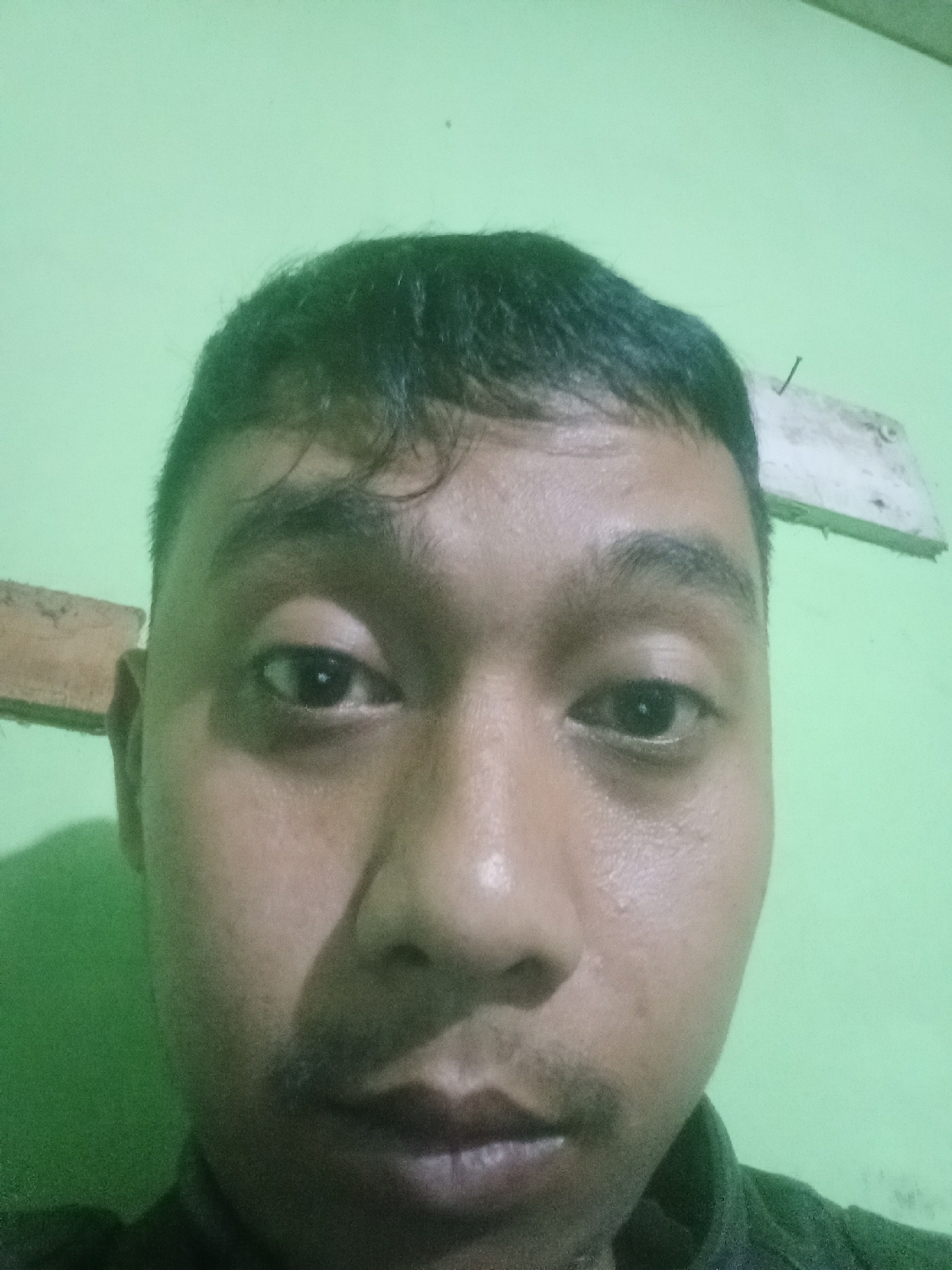 A selfie is shown from the chest up. The subject is a person of East Asian descent with short, dark hair and a light complexion. They are looking directly at the camera. The background is a solid light green wall, with two wooden planks attached horizontally to it. A few small, dark specks are visible on the wall. The lighting appears to be artificial and slightly uneven, casting shadows on the subject's face. The overall scene is indoors, with no indication of the specific location within Leksono, Indonesia.