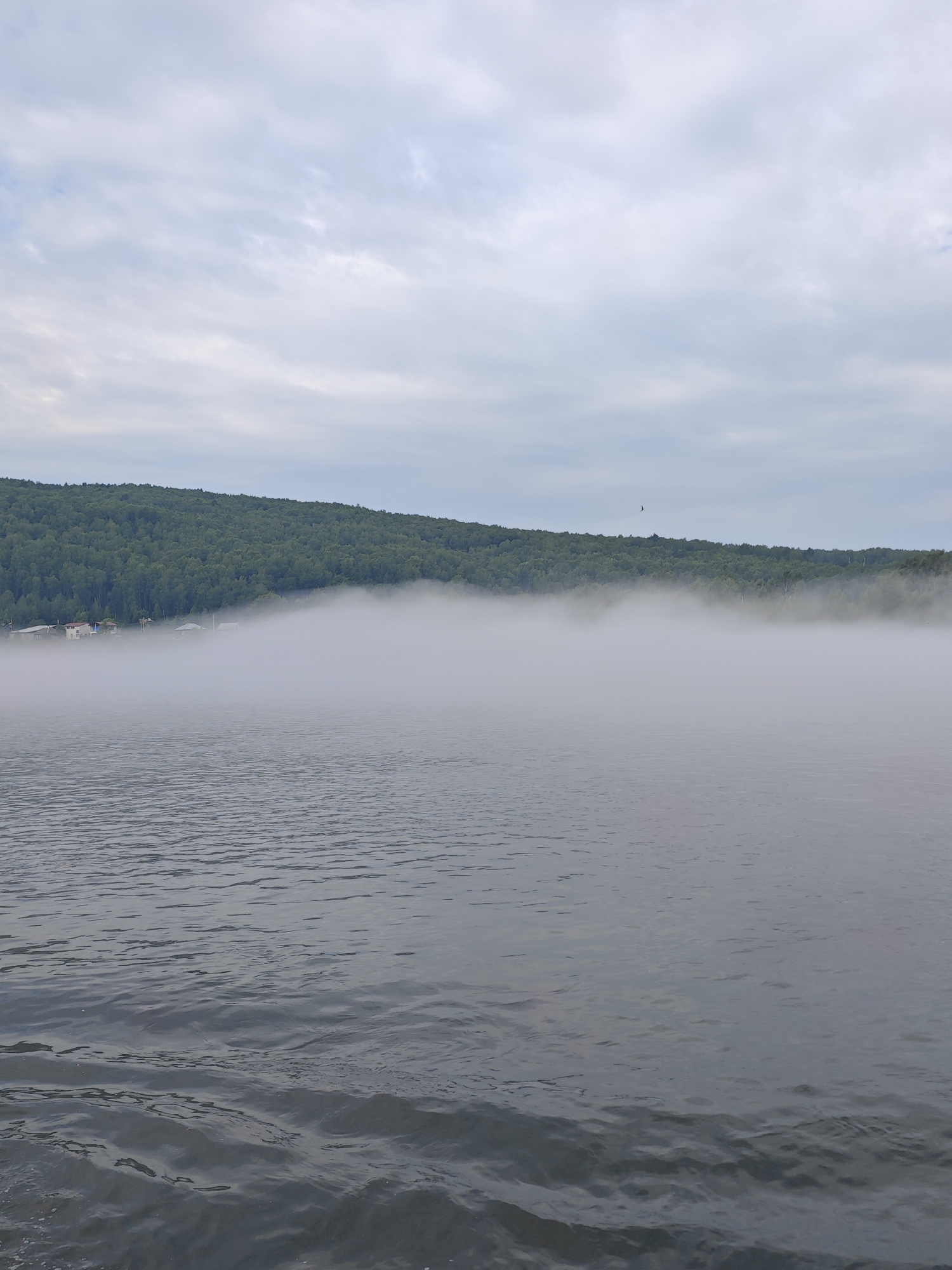 The image depicts a serene, misty morning scene over a body of water, likely the Yenisei River, in the vicinity of the village of Atamanovo, Krasnoyarsk Krai, Russia. In the foreground, the water surface is characterized by gentle ripples and a dark, grey-blue hue. The middle ground is dominated by a low-lying bank covered in dense green forest, which gradually slopes upwards. A thick layer of white fog hovers just above the water's surface, obscuring the base of the forested bank and lending an ethereal quality to the scene. On the left side of the middle ground, several small houses with visible roofs are partially visible through the mist, suggesting a settlement along the river. The sky above is overcast with a pale grey, textured cloud cover, with hints of a lighter blue peeking through in some areas. A small dark silhouette, possibly a bird in flight, is visible against the sky in the upper right quadrant. The overall atmosphere is tranquil and cool, indicative of early morning fog.