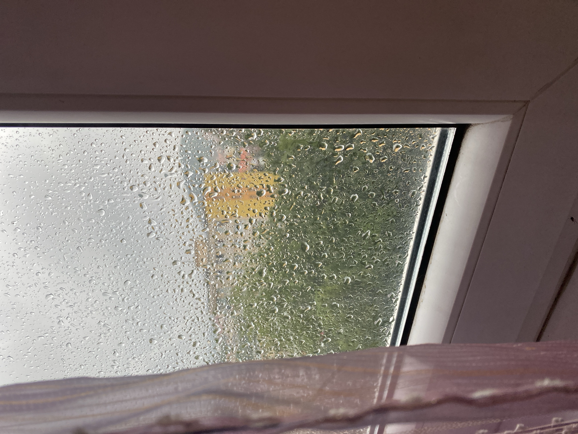 The image shows a close-up view of a window covered in raindrops, with a blurry cityscape visible in the background. On the left side of the frame, a sheer, light pink curtain is partially visible. The window pane itself is speckled with numerous water droplets of varying sizes, distorting the view of the buildings and trees outside. The buildings in the background appear to be a mix of colors, with some yellow and orange structures standing out. Lush green foliage is also visible, suggesting a residential area with trees. The overall lighting suggests an overcast or rainy day. The interior of the room is suggested by the white window frame and the pink curtain. The scene is set in Bílina, Czechia.