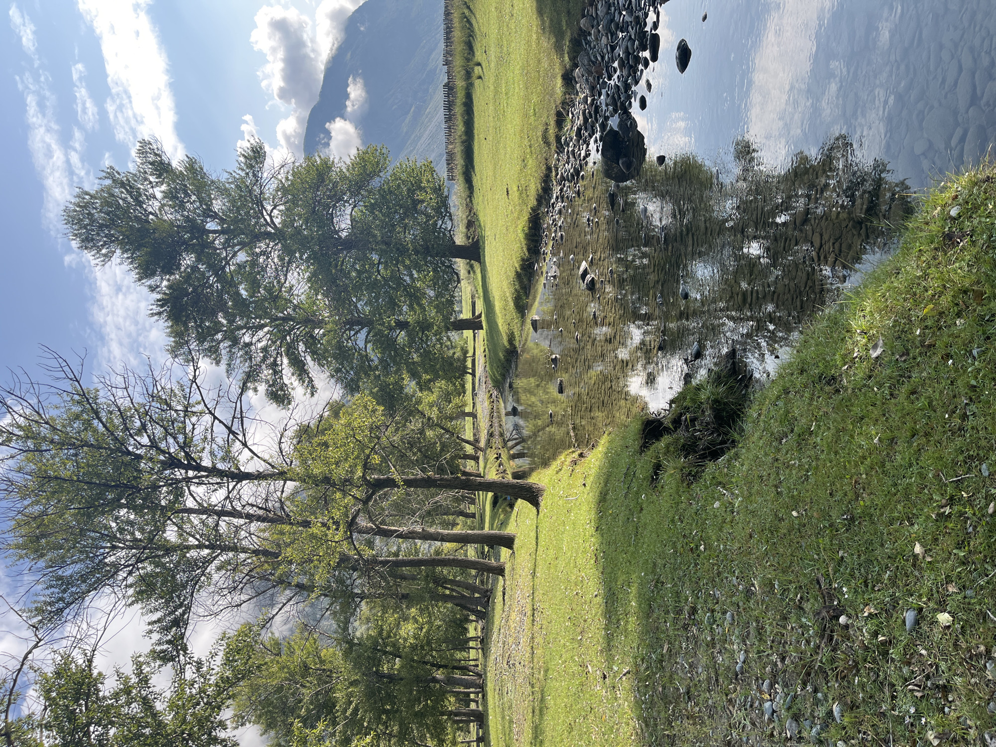 The image depicts a serene natural landscape, likely in the vicinity of Koo, Russia, characterized by a shallow, clear stream flowing through a grassy meadow. The stream bed is visible, with numerous smooth, grey stones and pebbles. Trees, some tall and mature with dense green foliage, line the left bank of the stream, casting dappled shadows on the well-maintained grass. In the background, a chain-link fence runs horizontally, bordering a field. Further in the distance, a mountainous terrain is shrouded in soft clouds, with hints of blue sky visible above. The scene is bathed in natural light, suggesting it was taken during the daytime. There are no people or animals present in the image.