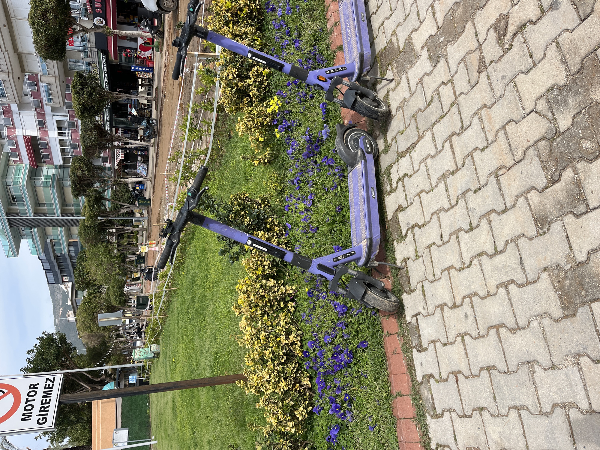 The scene shows two Neuron e-scooters parked on a sidewalk in Alanya, Turkey. The scooters are purple and black and appear to be resting against each other. The sidewalk is paved with light gray interlocking brick pavers, and a narrow strip of green grass and flowers separates the sidewalk from a larger grassy area. The vegetation consists of green grass, yellow flowering bushes, and purple pansies.
In the background, buildings of varying heights line the street. Trees are scattered throughout the background, adding to the urban landscape. A street sign reads "MOTOR GİREMEZ," indicating that motor vehicles are prohibited. Additional signs are visible indicating the location of stores and restaurants. The scene appears to be a commercial area on a partly sunny day.