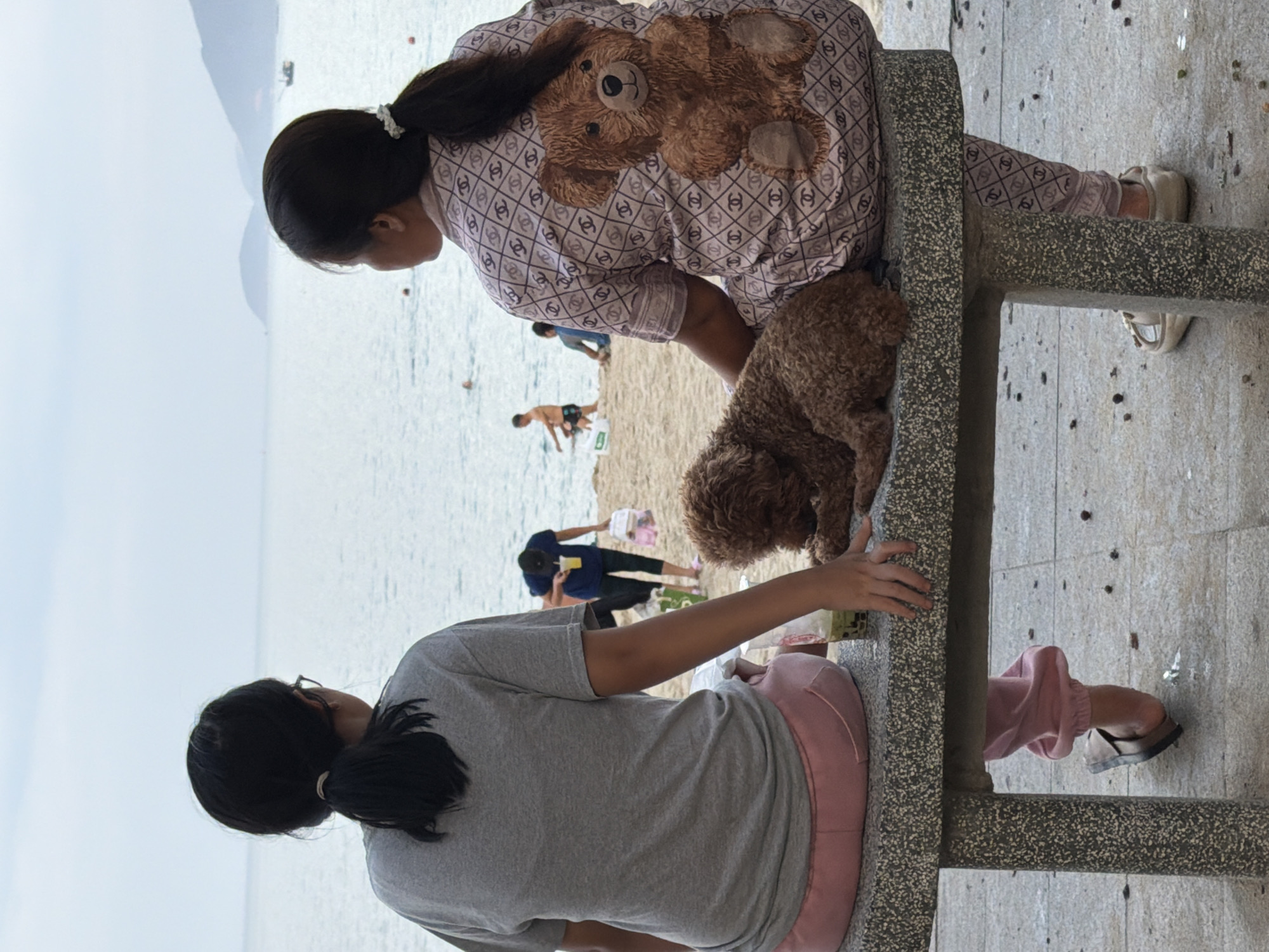 The image depicts a serene scene at a beach in Nha Trang, Vietnam. Two women are seated on a stone bench facing the ocean. The woman on the left, seen from behind, wears a grey t-shirt and pink pants, her dark hair tied in a ponytail. To her right, a brown poodle lies asleep. The woman on the right, also viewed from behind, is dressed in pajamas with a teddy bear print and patterned pants. Her dark hair is tied with a white scrunchie.
The background reveals a sandy beach with a few other individuals enjoying the day. In the distance, the calm ocean stretches towards a hazy horizon, with mountains visible on the far shore. A small boat is also spotted on the water. The overall atmosphere suggests a peaceful moment of relaxation by the sea.
