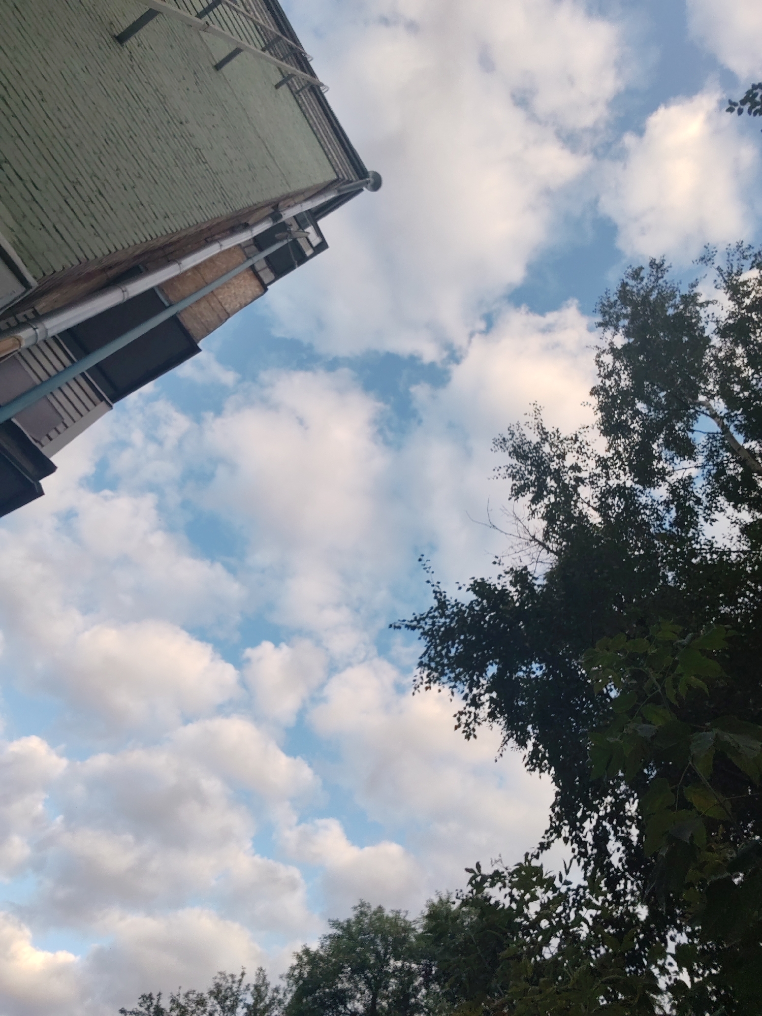 The image shows a low-angle view of the sky from a city street in Izhevsk, Russia. A portion of a green brick building with metal fixtures and pipes is visible in the upper left quadrant. Trees with dark green foliage occupy the right and bottom portions of the frame, partially obscuring the sky, which is a pale blue with scattered white cumulus clouds. The lighting suggests it is daytime, possibly late afternoon or early evening due to the soft light. There are no people or vehicles visible.