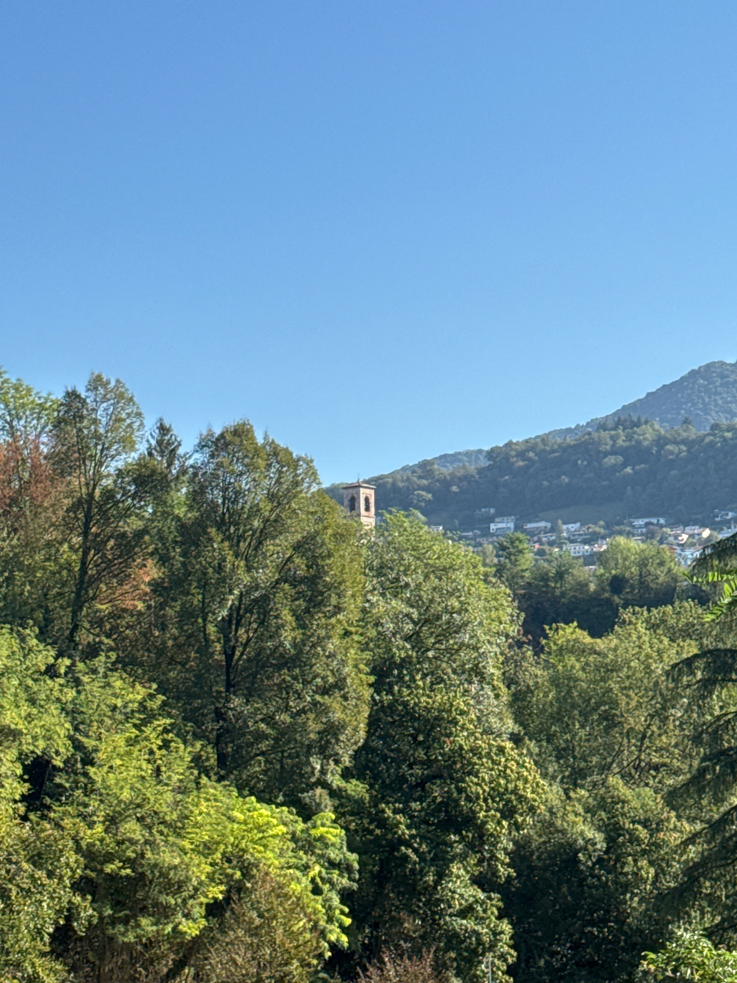 The image shows a view of Balerna, Switzerland, with a clear blue sky. In the foreground, lush green trees dominate the scene, with some exhibiting autumnal colors. Partially visible behind the trees, on a hillside dotted with buildings, is a stone bell tower. The overall impression is of a tranquil, verdant landscape with hints of a settlement nestled within the hills.