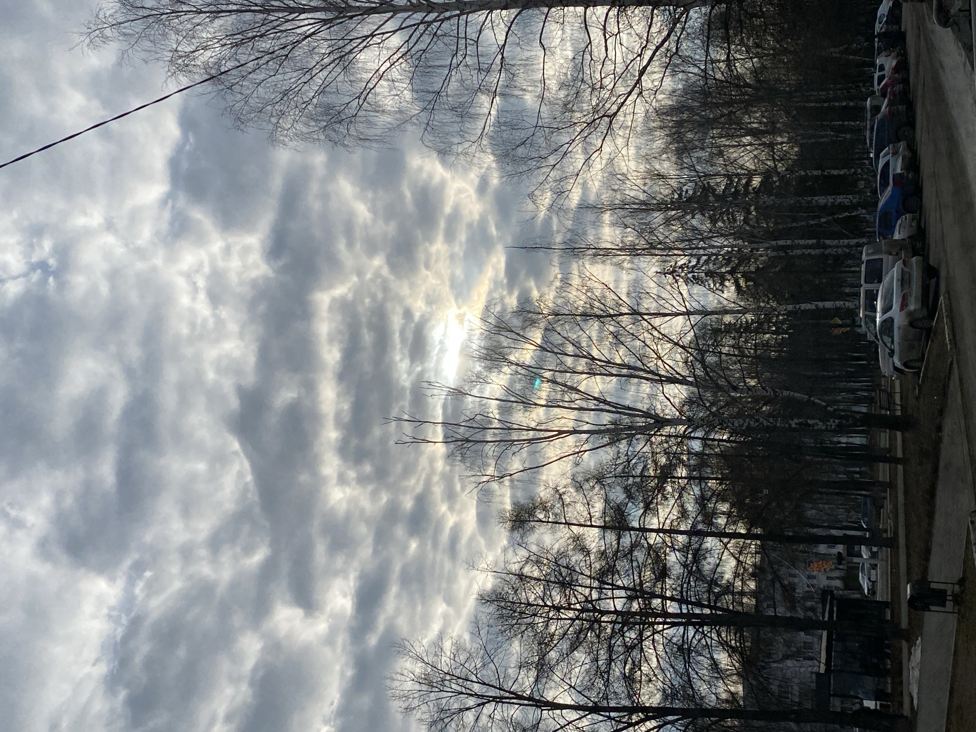 The image captures a sky filled with layered, striated clouds over Chaikovsky, Russia. Bare trees are silhouetted against the cloudy sky, obscuring part of a street with parked cars. The sun is partially visible, creating glare, with a power line crossing the upper part of the frame. A building is visible behind the trees, with the scene depicting a street view during daytime.