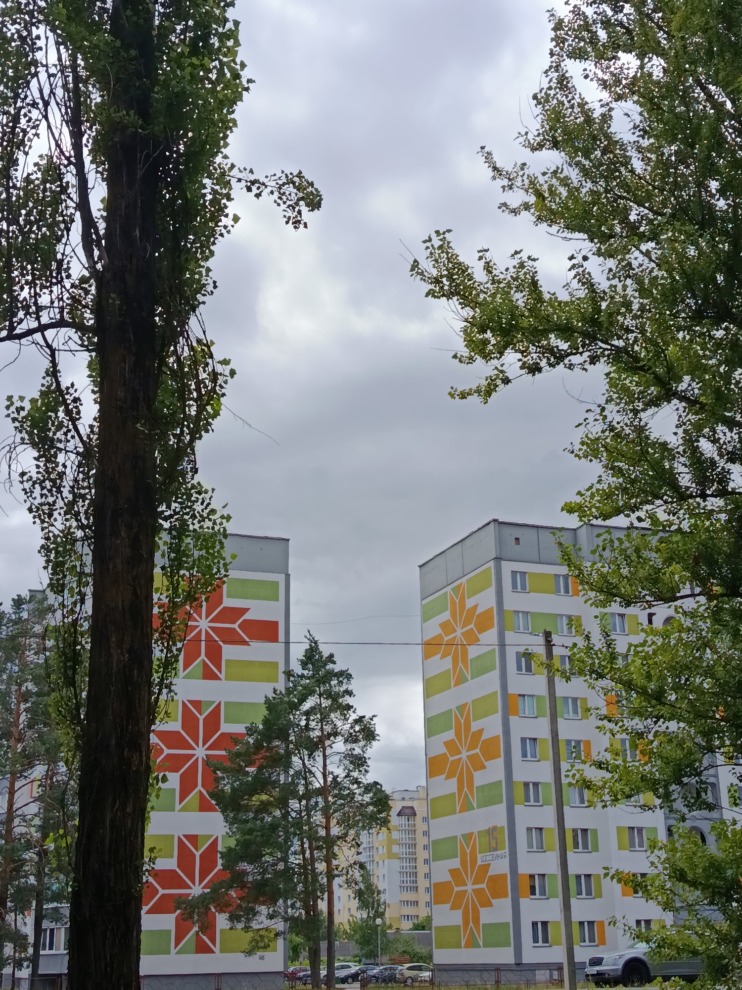 In Svietlahorsk, Belarus, two apartment buildings are visible, distinguished by their large, colorful geometric patterns resembling stars in shades of orange, yellow, and green against a white background. The buildings are tall, multi-story structures with numerous windows. The foreground is occupied by the dark, textured bark of a large tree trunk on the left, and lush green foliage from trees on the right, partially obscuring the buildings. In the background, other buildings and a hazy sky with clouds suggest an urban environment. Several cars are parked in the foreground, and a utility pole stands in front of the right building.