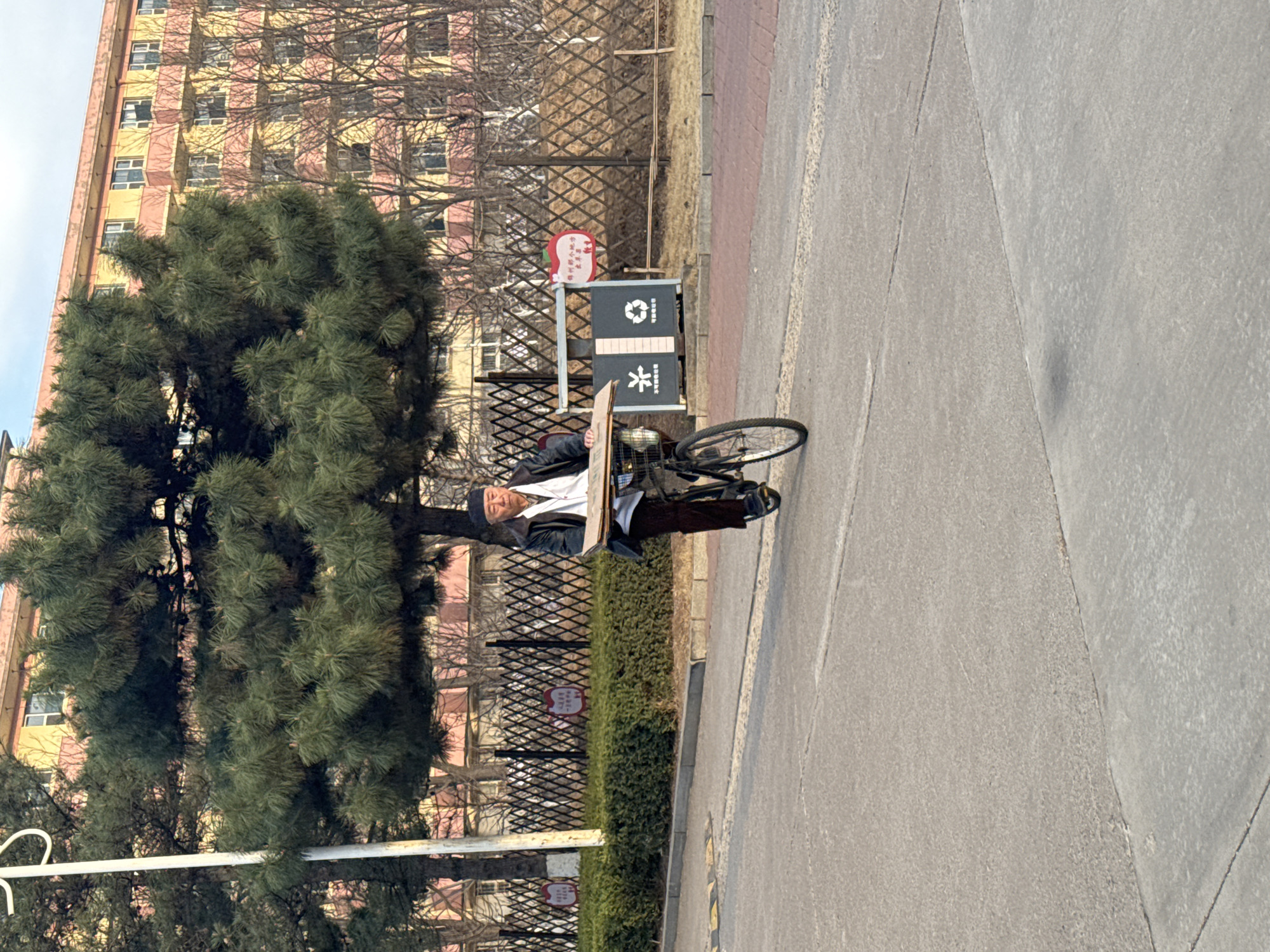 A man is riding a bicycle on a paved road in Zhongtun, China. The man is wearing a dark jacket and light-colored pants. He appears to be carrying a cardboard sheet or sign on the bike's front rack. Behind him is a green hedge and a black metal fence. Further back, there is a multi-story building with a mix of yellow and pink facade. A large, coniferous tree stands adjacent to the road, partially obscuring the building. A grey recycling bin with Chinese characters and symbols is visible near the hedge. The road is grey and exhibits variations in texture, possibly indicating different segments or repairs. The sky is overcast.