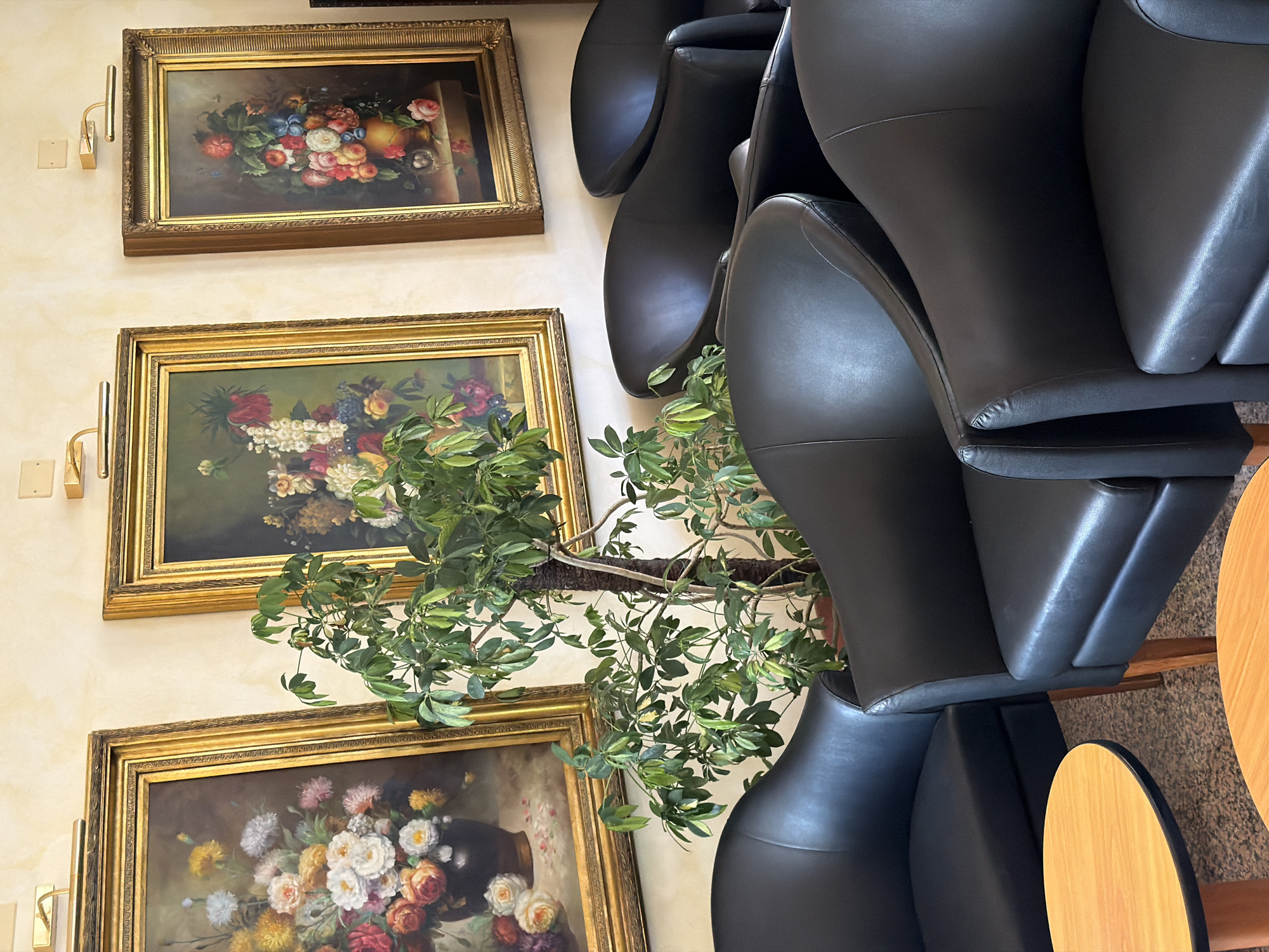 In a warmly lit room with textured yellow walls, three ornate framed paintings of floral still lifes hang above a row of black leather armchairs. The paintings, each illuminated by a small brass picture light, depict bouquets of vibrant flowers in classical arrangements. A potted green plant with broad leaves sits in front of the middle painting, partially obscuring it and the first two armchairs. The armchairs are modern and sleek, arranged in a semi-circle, with two small round wooden tables visible in the foreground. The floor is covered in speckled brown and grey tiles. The scene suggests a waiting area or lounge, possibly in a hotel or public building, in Gatteo, Italy. There are no people present in the image.