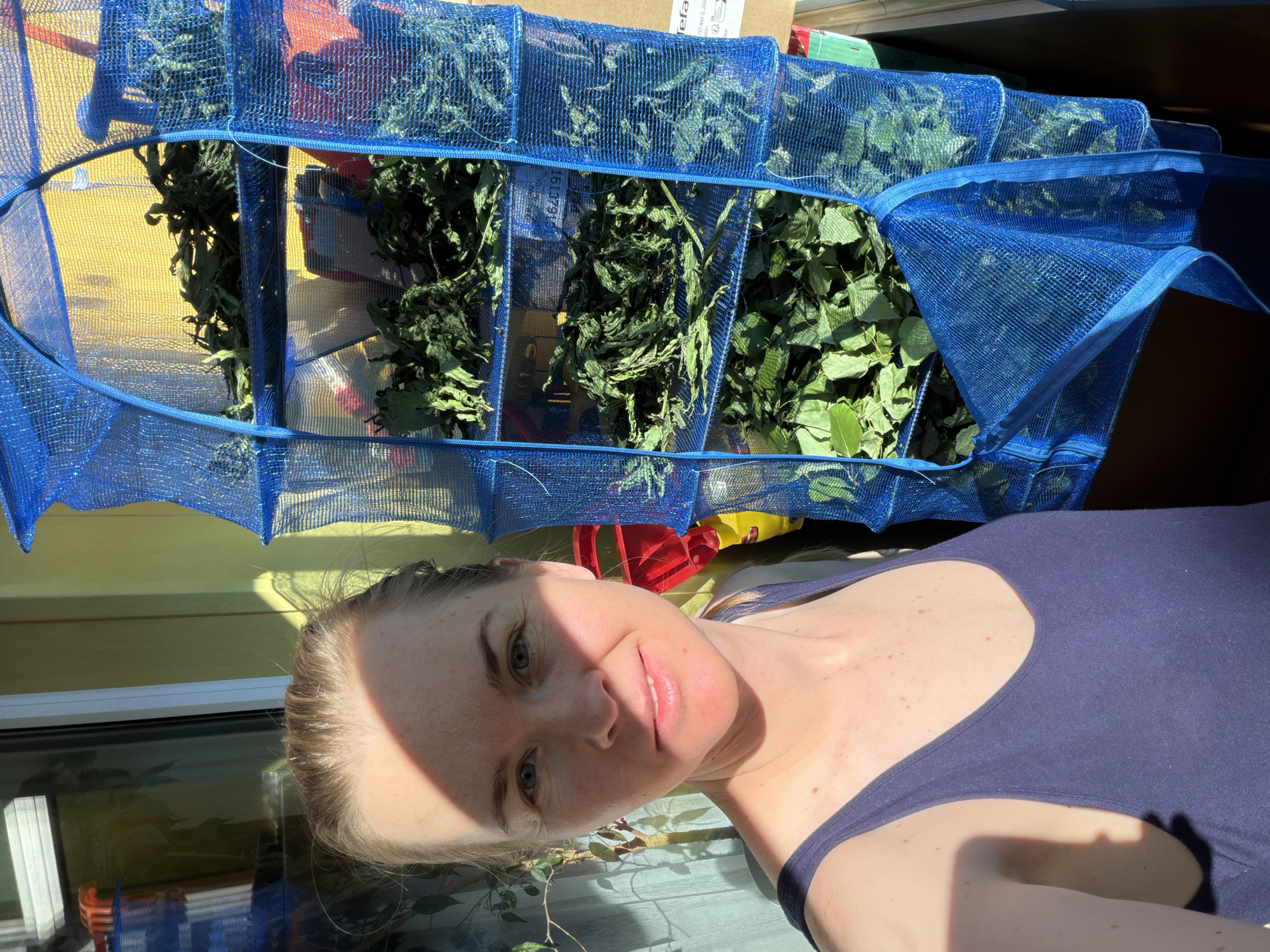 A woman with light brown hair, wearing a dark blue tank top, is photographed from the chest up. She is looking at the camera and smiling slightly. A sunbeam is casting a shadow across the left side of her face. To her right is a blue mesh drying rack filled with green leaves on multiple shelves. The drying rack is hanging next to a yellow wall. The scene appears to be outdoors, possibly on a balcony or patio, with some greenery visible in the background. The presence of a drying rack suggests the leaves are being dried for preservation, likely for culinary or medicinal purposes. The location is identified as Khabarovsk, Russia.
