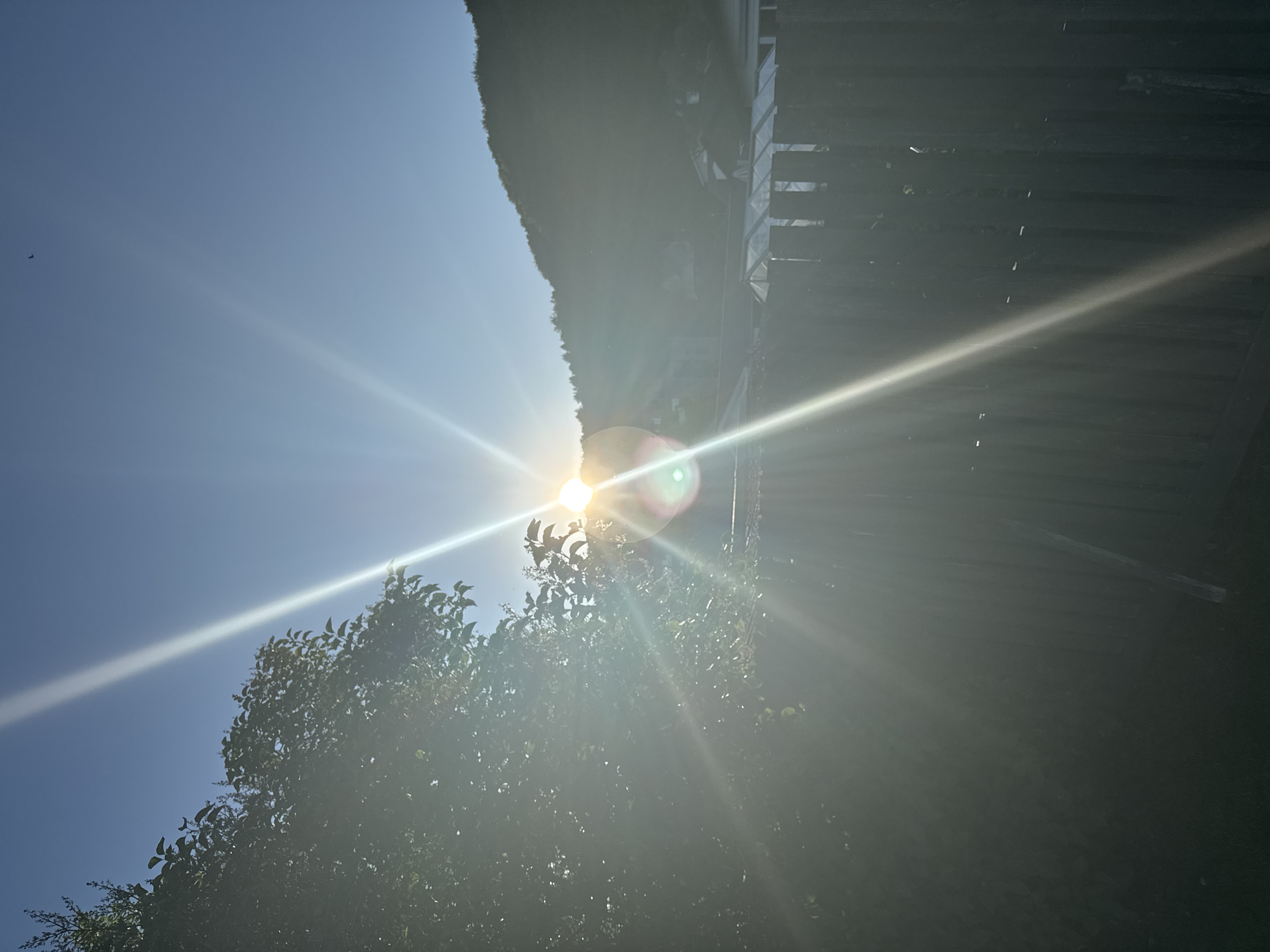 The image depicts a bright sun shining through the leaves of a tree, casting strong rays of light across the scene. The sun is positioned in the upper central portion of the frame, with its light creating a lens flare effect and radiating outwards. In the foreground, a dark wooden fence runs horizontally across the bottom half of the image, partially obscuring what appears to be a greenhouse with a glass roof behind it. Beyond the fence, a gently sloping hill covered in trees rises in the background, silhouetted against the clear blue sky. A small dark object, possibly a bird, is visible in the upper right corner of the sky. The overall impression is one of a sunny day in a semi-rural or suburban setting. The location is stated to be in the city of Vejle, Denmark.