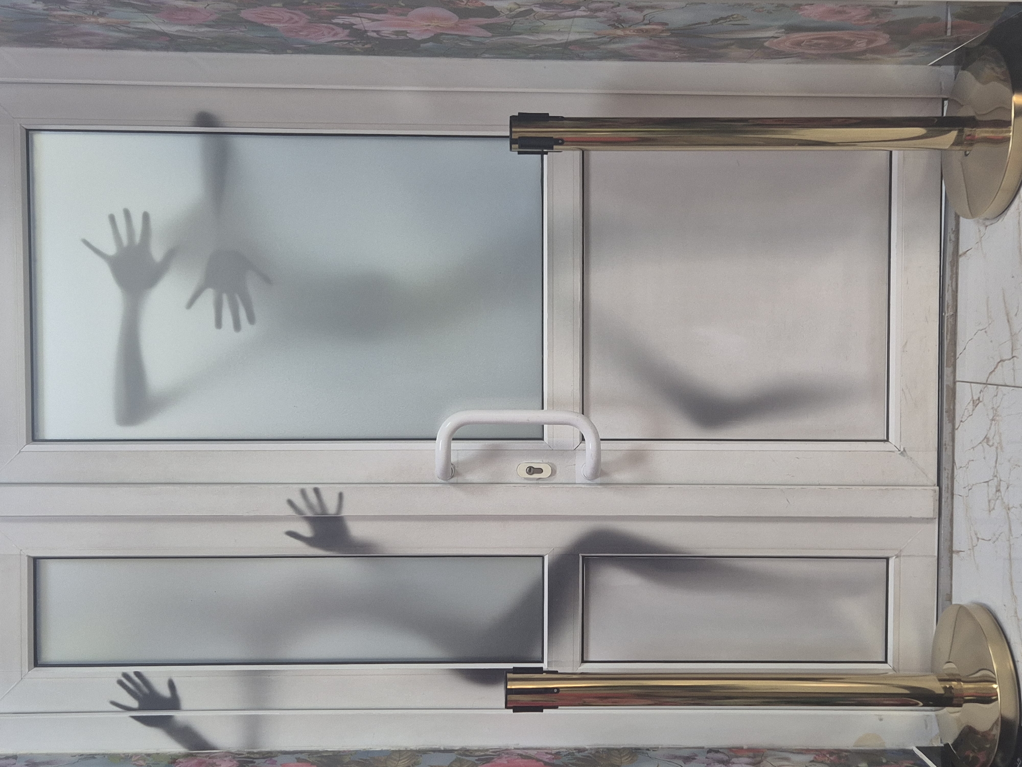 The image displays a set of double glass doors with frosted panels. Silhouettes of human hands and arms are visible pressed against the frosted glass, suggesting a sense of confinement or distress. On the left side of the doors, a single silhouette of a hand is pressed against the glass. On the right door, two pairs of hands are visible, one above the other, with fingers splayed.
The doors are framed by white mullions and have a white horizontal handle on the right door, along with a keyhole. Flanking the entrance are two stanchions with gold-colored poles and black bases, typically used for crowd control or to cordon off an area. These stanchions are positioned on a marble-patterned floor.
The background on either side of the doors features wallpaper with a floral pattern, predominantly featuring pink roses and green foliage.
The scene gives an impression of a potentially unsettling or dramatic event occurring behind the doors, with the silhouettes acting as the central visual element. No specific location in Kokshetau, Kazakhstan, can be identified from the image itself.