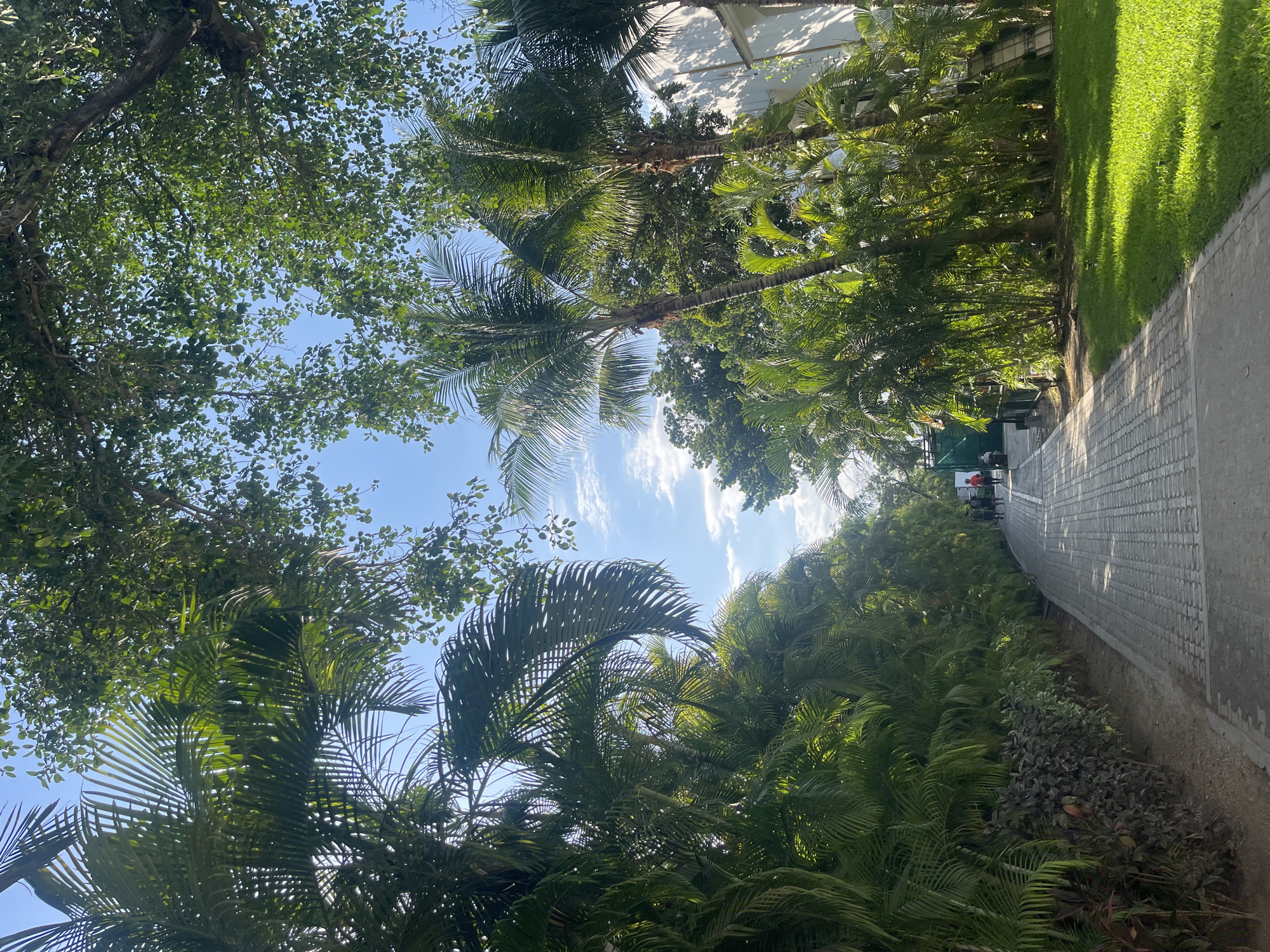The image depicts a pathway in Playa del Carmen, Mexico. The path is constructed of light gray paving stones and is lined with a variety of lush tropical vegetation, including palm trees and other green foliage. The sky is visible through the trees, and it is a clear blue color with a few scattered white clouds. At the end of the path, several people are standing. The scene is bathed in sunlight.