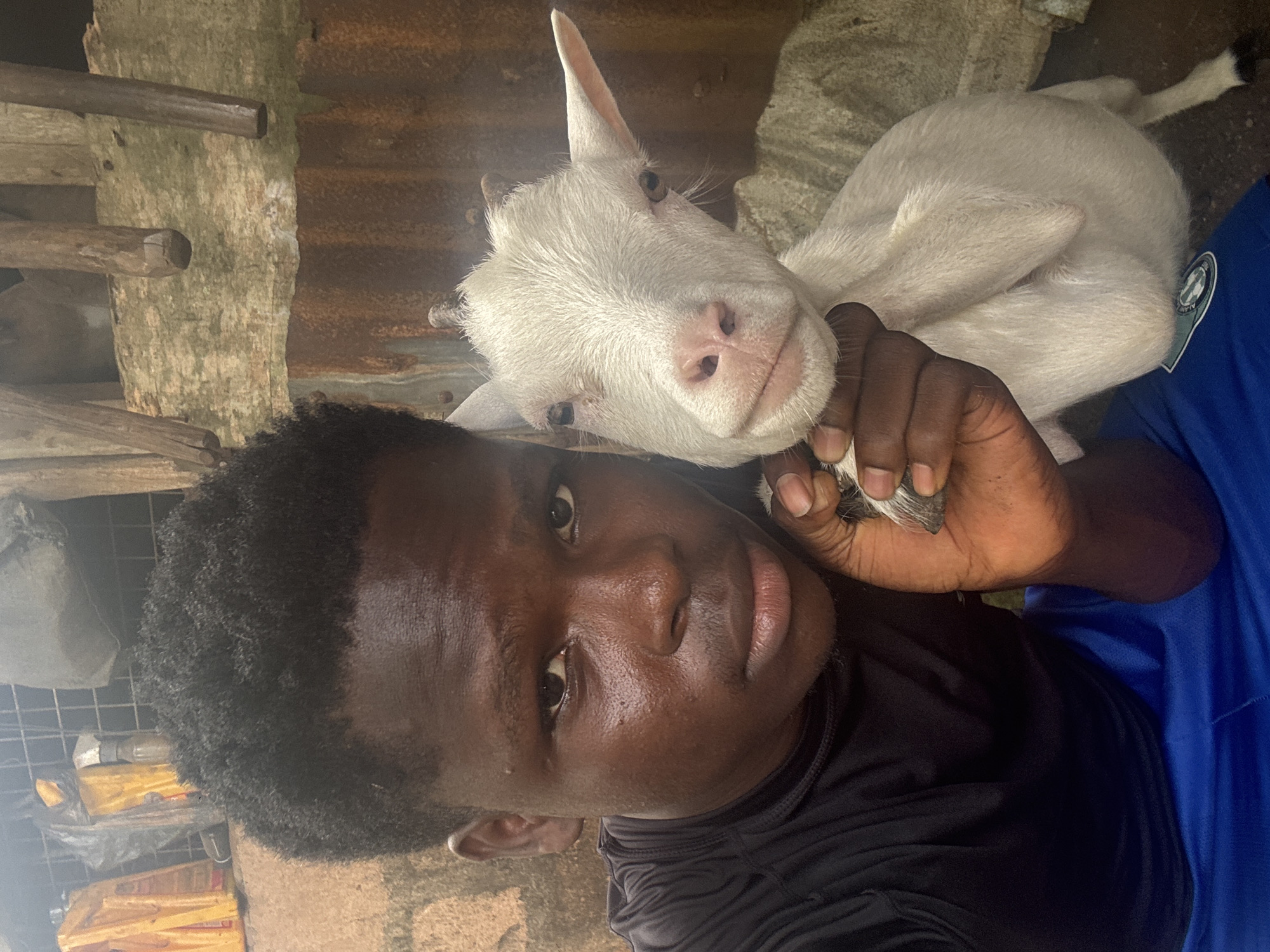 A man with dark skin and short, curly black hair is holding a white goat against his chest. The man is wearing a black shirt with blue sleeves. The goat is small and has short horns. They are likely in an enclosure in a rural area of Aboh, Nigeria. The background contains a corrugated metal structure and some vegetation.