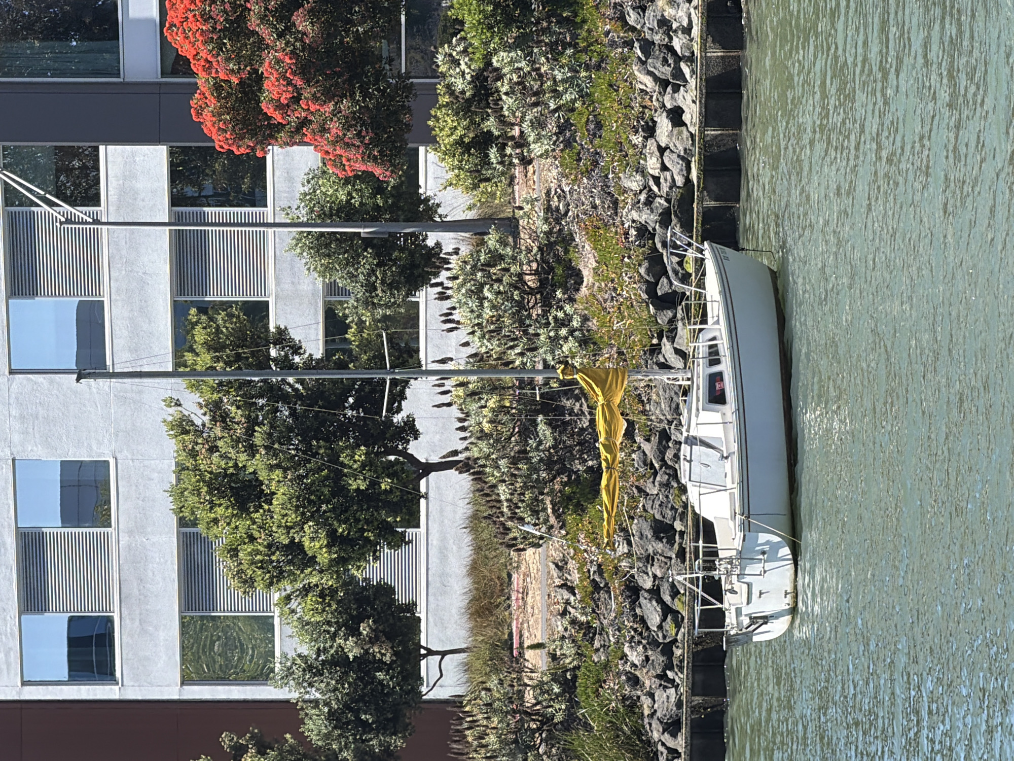 A white sailboat is docked next to a rocky embankment and a modern building. The sailboat is positioned on the right side of the image, partially submerged in the greenish water. A yellow tarp or sail is draped over the boom of the boat. The embankment is made of large, dark gray rocks, with some vegetation growing in between. Behind the embankment, there's a paved area with more greenery and trees. To the left of the embankment is a multi-story building with a gray facade and a series of windows. Some windows have reflective surfaces, showing trees and the sky. Red-flowering trees are visible near the top left of the building. The scene appears to be in a canal or a harbor. The lighting suggests it is daytime, possibly late morning or afternoon, with bright sunlight. There is no visible text in the image. The overall impression is a tranquil waterside scene, possibly in an urban or suburban environment.