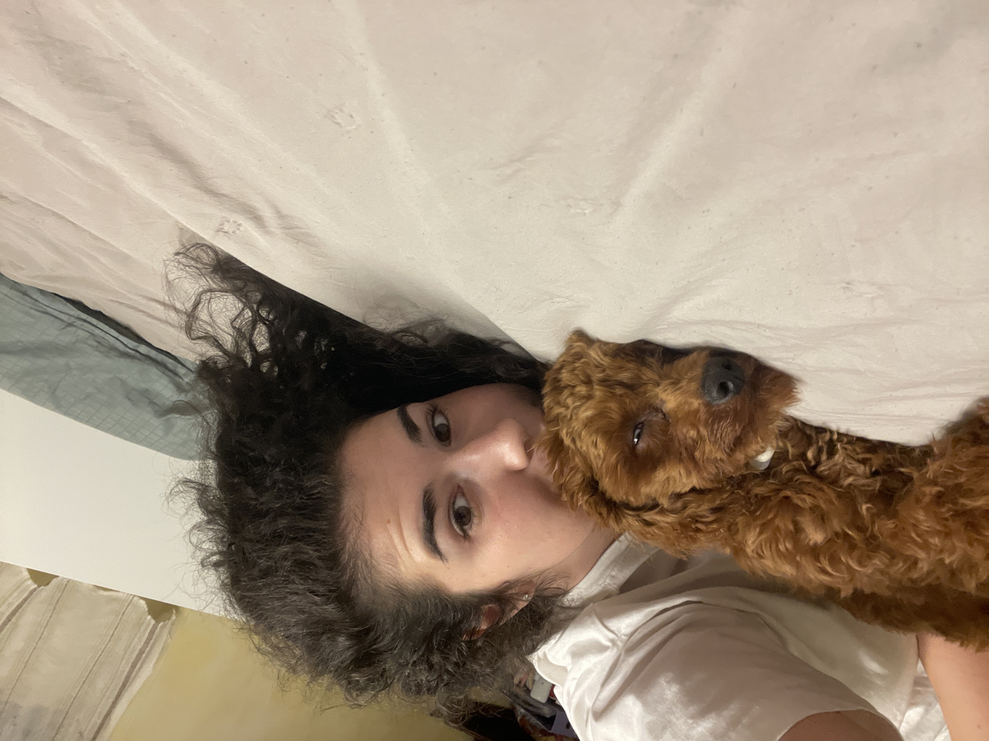 An intimate, close-up shot features a person and a small, curly-haired dog lying on a bed. The image is rotated 90 degrees counter-clockwise, showing the subjects horizontally across the frame.
The person, appearing to be female, has dark, voluminous curly hair that spreads around her head. She has dark eyebrows and eyes, looking directly towards the camera with a neutral expression. Part of her face is close to the dog's head, and she is wearing a light-colored, likely white, t-shirt.
Beside her, a brown, curly-coated dog, resembling a poodle or poodle mix, rests its head. The dog's fur is a rich reddish-brown, and its dark nose and one visible eye are prominent. Its mouth is slightly open, showing a hint of its tongue. The dog appears calm and relaxed, nestled close to the person.
They are both positioned on white or off-white bedding, which has subtle wrinkles and texture. A contrasting darker, possibly teal or blue-green, blanket or sheet is visible in the background behind the person's head. The setting is clearly indoors, likely a bedroom, suggesting a moment of quiet relaxation or companionship. The lighting is soft and diffuse, characteristic of an indoor environment, and does not indicate a specific time of day. No text is visible in the image. The location context provided is Sofia, Bulgaria, although no specific visual cues confirm this within the image itself.