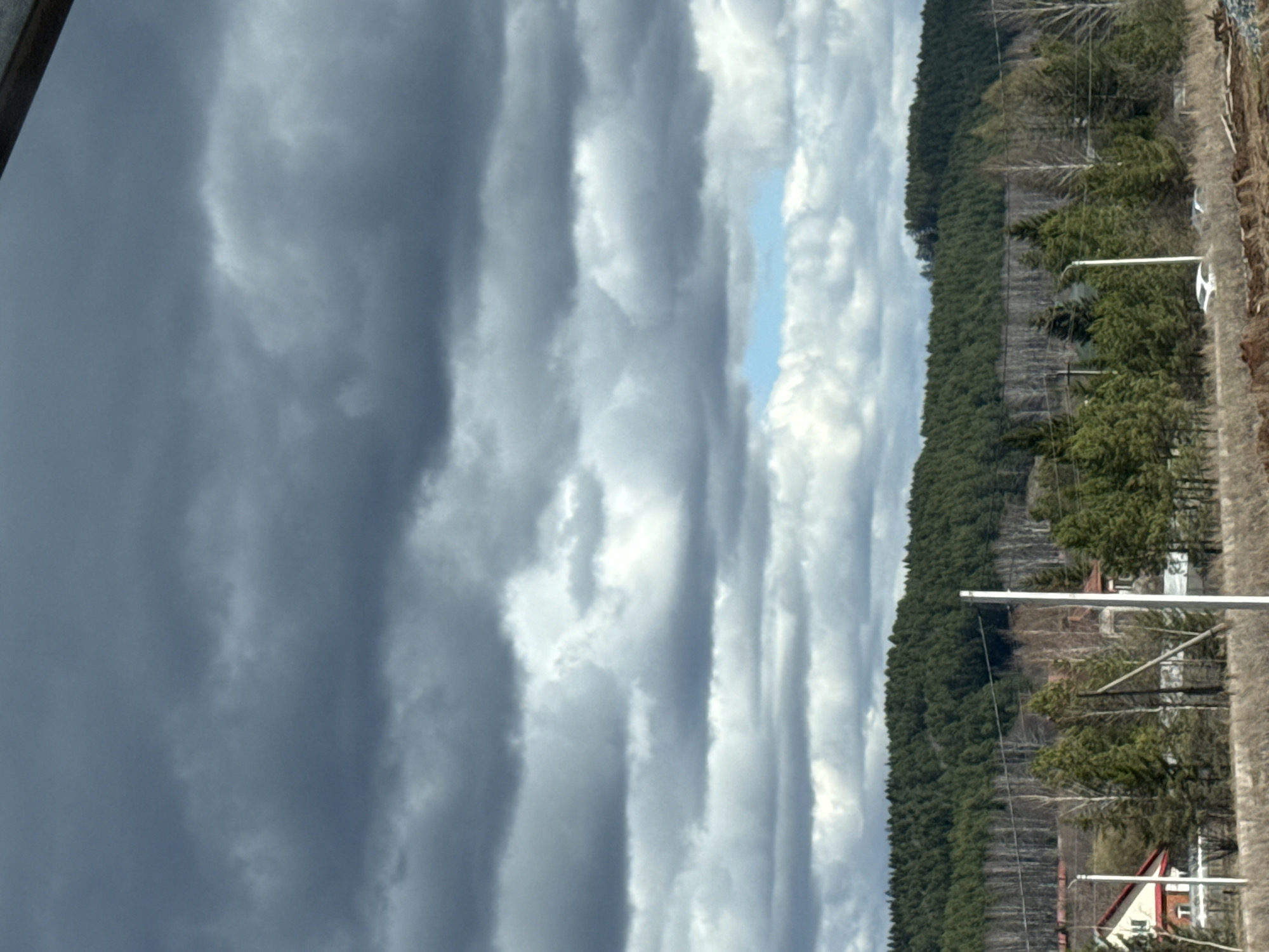 The image, when correctly oriented, depicts a landscape under a dramatic sky, characteristic of a rural or semi-rural area in Lobanovo, Russia. The upper portion of the frame is dominated by an expansive sky filled with varied cloud formations. Dark, heavy grey clouds occupy the left and top areas, transitioning into lighter, textured white and grey clouds towards the right and bottom. A distinct band of bright blue sky is visible in the middle of the frame, piercing through the cloud cover.
Below the sky, a dense line of dark green coniferous forest stretches horizontally across the mid-ground, forming a continuous natural barrier. To the right of the forest, elements of human habitation and infrastructure become visible. These include several white utility poles with power lines strung between them, and a white streetlamp with a circular light fixture. Further right and in the foreground, parts of a house with a prominent red roof and white walls can be seen nestled among scattered trees, some of which are bare, suggesting an early spring or late autumn season.
No people or specific activities are depicted in the scene. The weather appears to be overcast with a break in the clouds, indicating changeable conditions. The time of day is daylight, with diffused lighting across the landscape. No visible text is present.