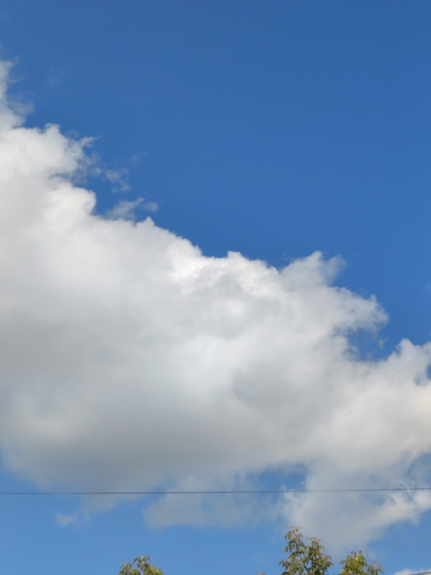 A clear, bright blue sky dominates the upper portion of the image. A large, white, fluffy cloud formation stretches across the left and center of the frame, obscuring a portion of the sky. In the lower part of the image, a thin, dark horizontal line, likely a power line or wire, is visible. Below the wire, the tops of green trees are peeking into the frame from the bottom edge. The image appears to be taken outdoors during daylight hours. Without specific landmarks, the location in Petropavl, Kazakhstan cannot be definitively identified.