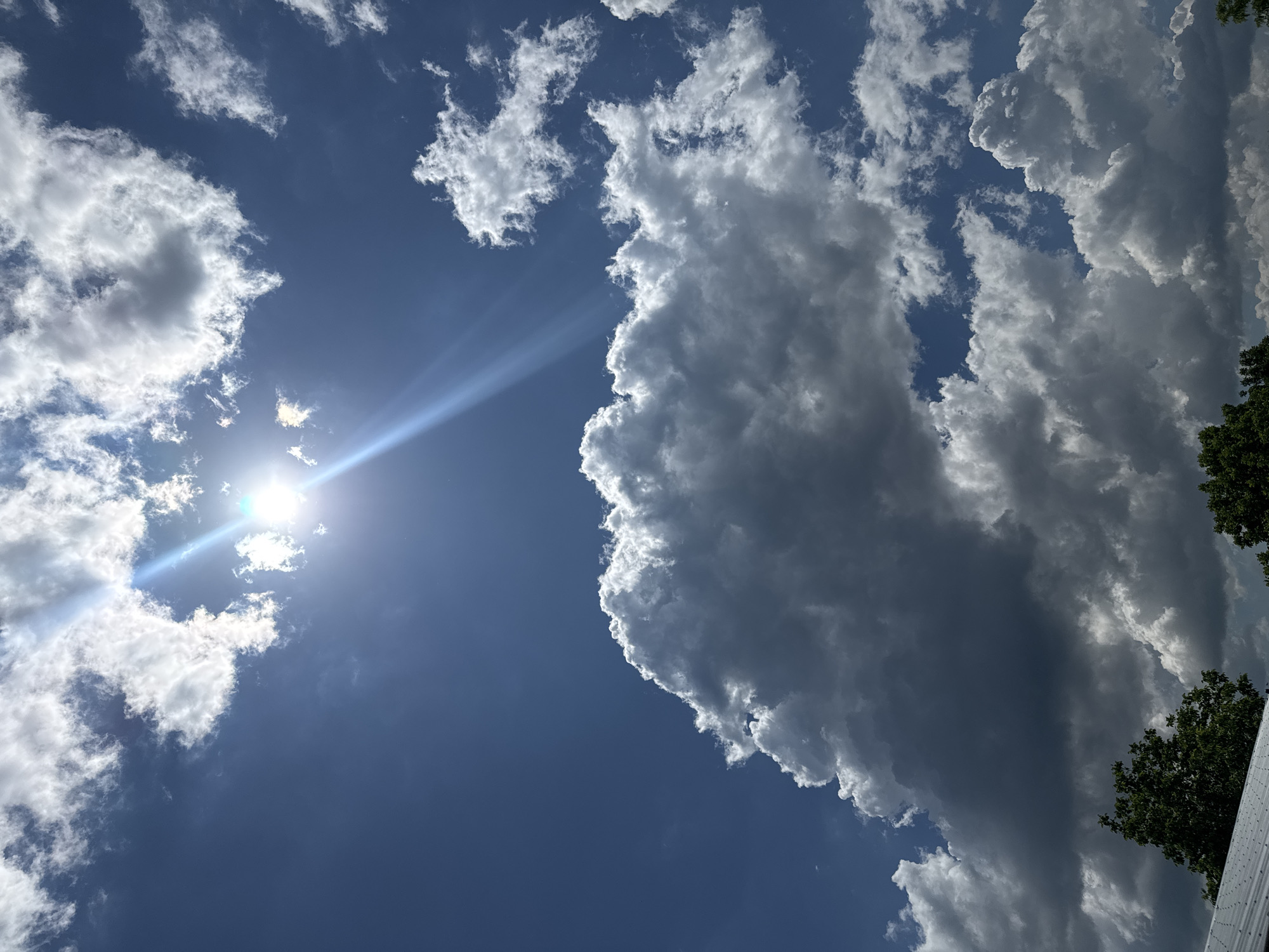 The image depicts a daytime scene with a predominantly blue sky and scattered cumulus clouds. A bright sun is visible through the clouds, casting rays of light. Some foliage, likely from trees, is visible in the lower right corner of the frame. The location is not determinable from the image.