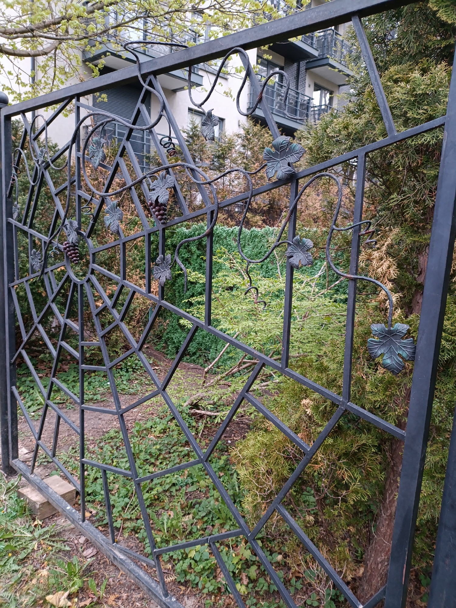 The image shows a black metal fence with a grape vine and spiderweb design in Svetlogorsk, Russia. The fence separates a grassy area with greenery and a building with windows and balconies in the background. The metal is wrought with grape leaves and bunches of grapes along with a spiderweb motif.