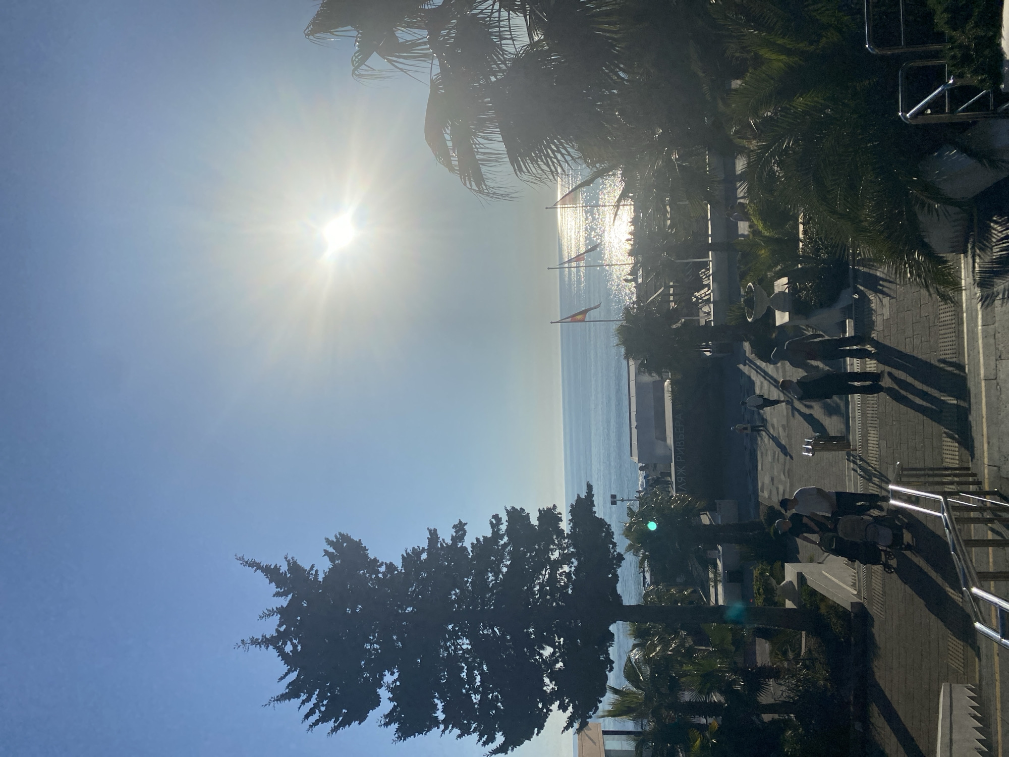 The image captures a sunny day at the beach in Sochi, Russia. The sun is bright, reflecting off the sea's surface. There are palm trees and other greenery in the foreground and along the beach promenade. People are walking along the promenade. Flags are flying in the distance. The image is taken from an elevated position, possibly a building or a staircase.