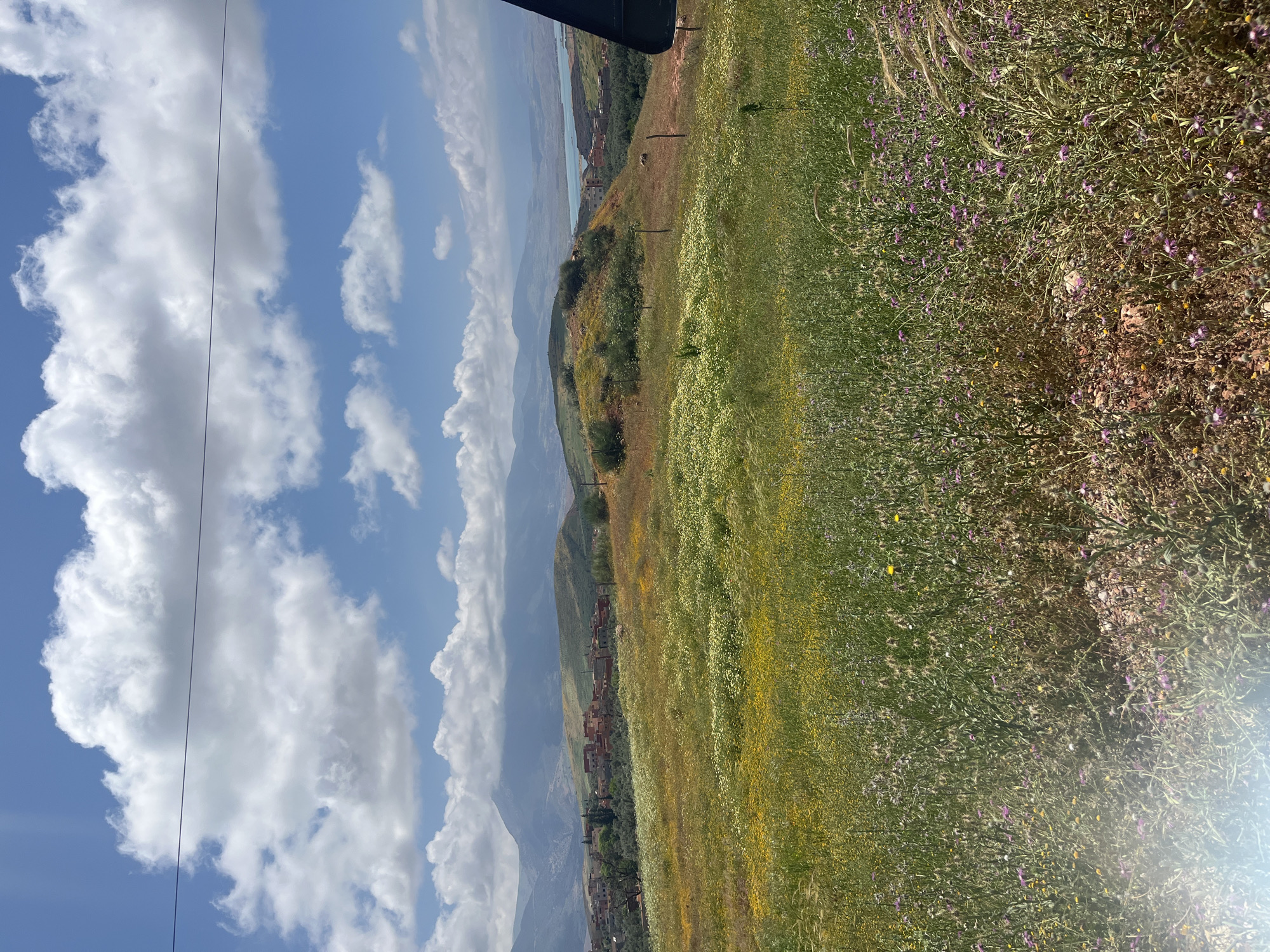The image presents a vibrant rural landscape in Ouaouizert, Morocco, captured under a bright blue sky dotted with scattered white cumulus clouds. The foreground features a wide expanse of green grass densely covered with small yellow and purple wildflowers, suggesting a flourishing springtime environment. Patches of reddish-brown soil are also visible among the flora.
In the midground, rolling hills unfold, some richly green with vegetation, while others show more barren, earthy tones. A small village or cluster of buildings with characteristic reddish-brown roofs is nestled on one of these hillsides. Beyond the hills, a calm body of blue water, likely a lake or reservoir, extends towards the horizon. Distant, hazy blue mountains form the backdrop, adding depth to the expansive scene.
A thin black wire, possibly a power or utility line, stretches horizontally across the upper part of the sky. A dark, angular object is partially visible at the very top center, suggesting it might be part of the structure the photo was taken from. The scene is illuminated by bright daylight, with a noticeable lens flare in the bottom right corner, indicating direct sunlight. The weather appears clear and sunny. No people or specific activities are depicted, focusing instead on the natural beauty and serene atmosphere of the Moroccan countryside. There is no visible text in the media file.