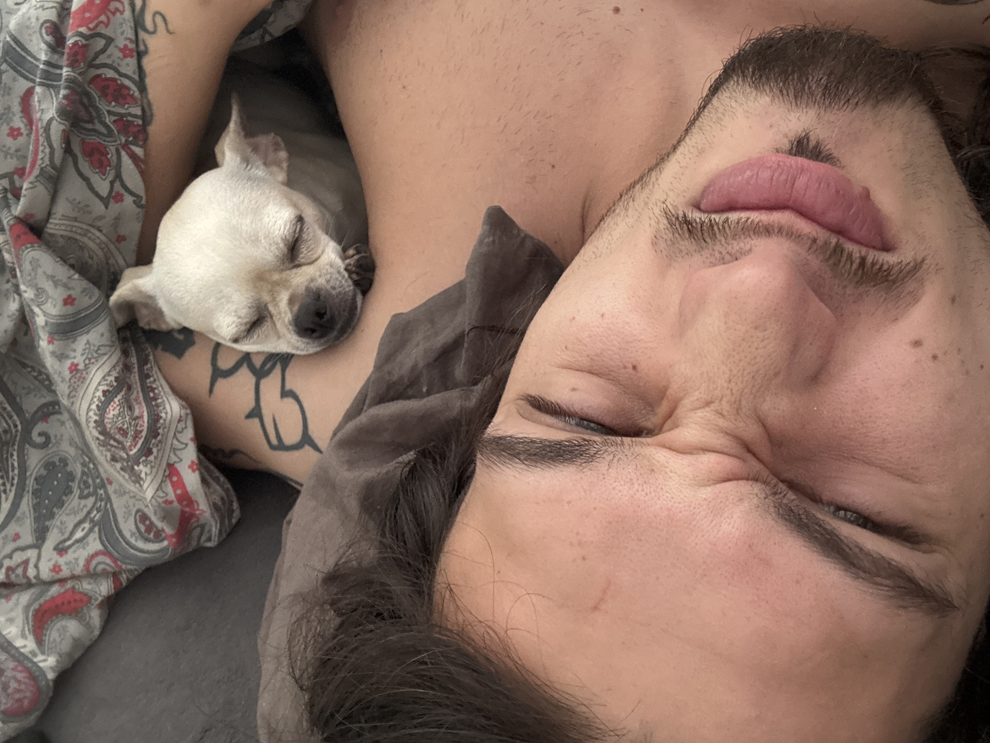In a close-up, overhead shot, a man and a small dog are lying in bed. The man's face is in the foreground, with his eyes closed and his mouth slightly open. He has dark hair and a light beard. The dog, a fawn-colored chihuahua, is nestled against the man's chest, also with its eyes closed. The dog is partially covered by a patterned blanket. The scene takes place in a bedroom in Sofia, Bulgaria, with a gray blanket visible on the bed.