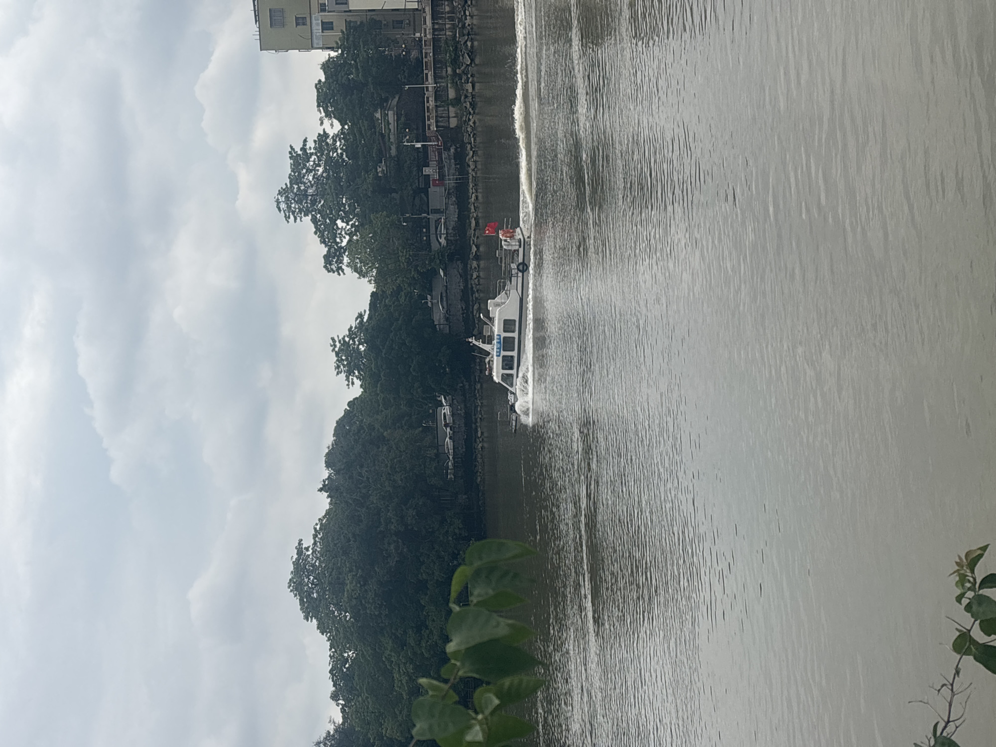 A white boat with a red flag is moving across a body of water, creating a wake. The boat is white with some dark trim and has windows. The red flag is attached to a pole at the stern of the boat. In the background, there is a densely wooded area with many trees. Beyond the trees, a multi-story building is visible, suggesting an urban or suburban environment. The sky is overcast with clouds. The water is a muted brown color, and there are ripples on its surface. In the foreground, out of focus, are some green leaves and branches. The overall scene depicts a boat navigating a waterway near a developed area with natural elements. The image captures a moment of activity on the water under a cloudy sky.