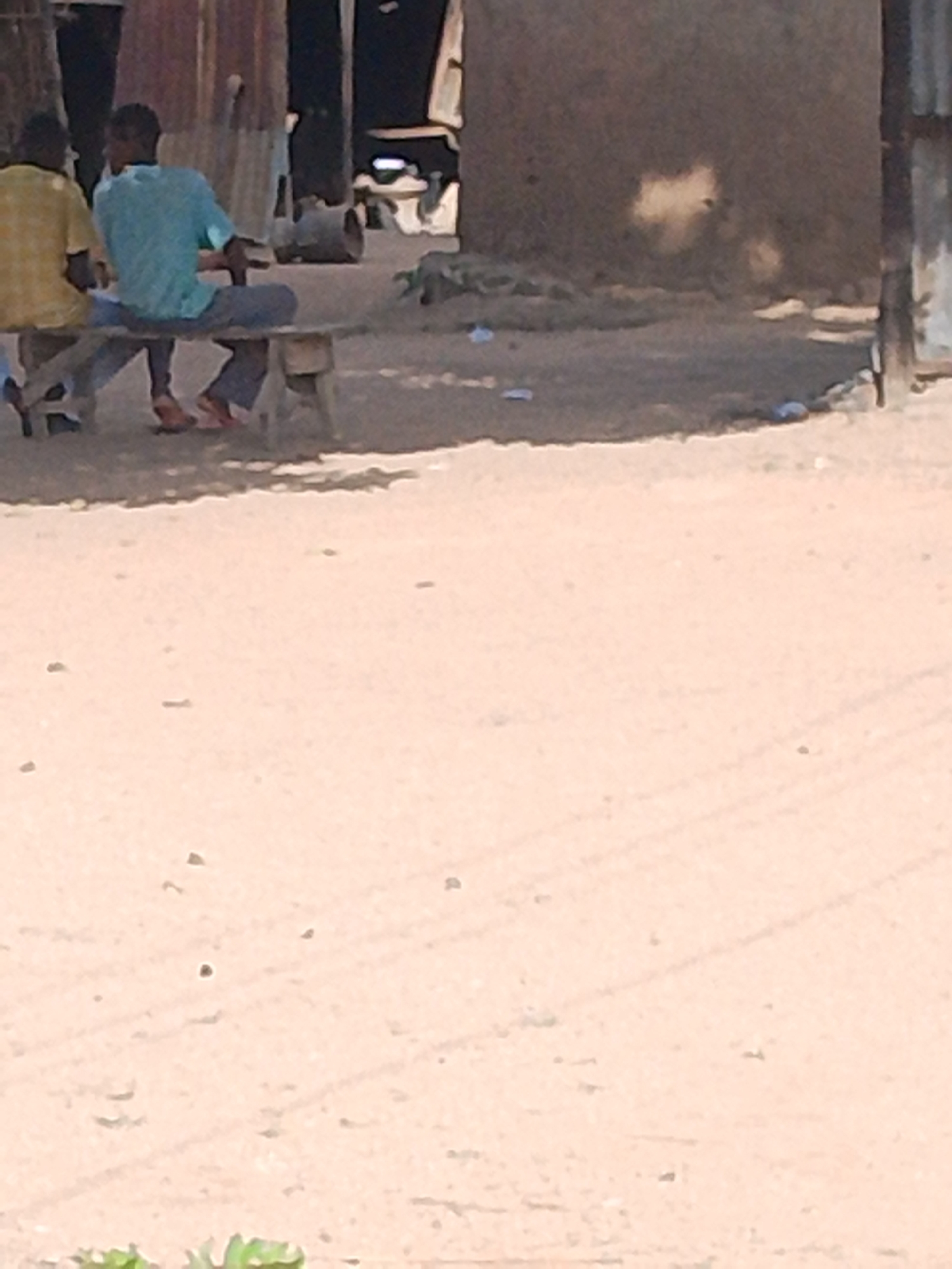 The image shows two individuals seated on a wooden bench in an outdoor setting, likely in Jalingo, Nigeria. The person on the left is wearing a yellow shirt and appears to be looking to their left. The person on the right is wearing a teal shirt and dark pants, with their back mostly to the camera. They are both casually seated.
The bench is supported by two wooden structures, one visible on the right and another partially obscured by the person on the left. The ground in front of the bench is sandy and appears to be a dirt path or area. Behind the bench, there are structures that suggest a rustic environment, possibly buildings made of mud or corrugated metal. One structure on the left appears to be a wooden fence or wall. Further back, there are glimpses of other buildings and some greenery. The overall scene suggests a casual, everyday moment in a semi-urban or rural area. The lighting indicates it is daytime, with sunlight casting shadows, though the overall brightness suggests it might not be the peak of midday. There are a few scattered pieces of blue plastic on the ground. No text is visible in the image.
