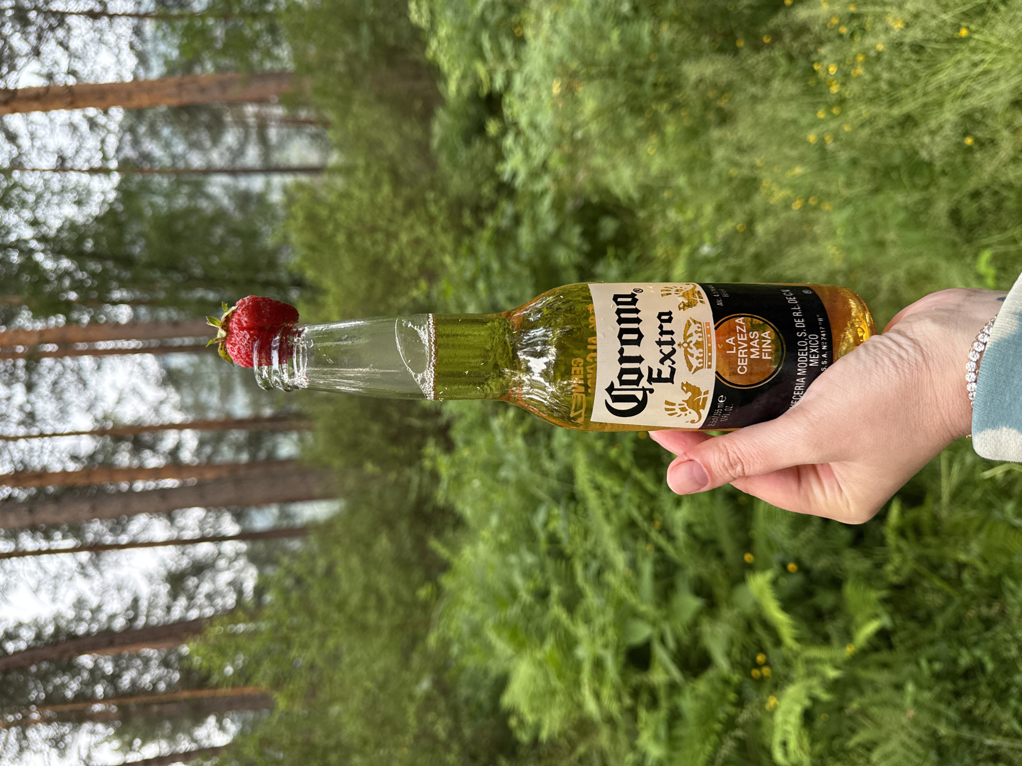 A hand holds a bottle of Corona Extra beer topped with a strawberry in a forest setting. The background features tall trees and lush green foliage, suggesting a natural, outdoor environment. The lighting appears to be overcast, typical of a cloudy day or early morning/late evening. The focus is on the beer bottle and the strawberry, with the forest serving as a blurred backdrop. The image is devoid of any urban elements, making it impossible to identify a specific location within Cheposh, Russia.