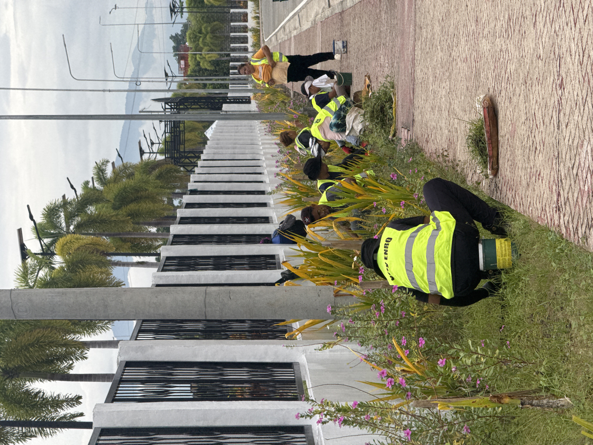 Along a paved walkway in Davao City, Philippines, a group of workers wearing bright yellow vests are tending to a garden bed. The workers are positioned on the grassy side of the walkway, with some kneeling or bending over to work on the plants. The walkway, made of patterned pavement, runs alongside a modern building with a black and white facade. Palm trees line the edge of the walkway and building, adding a tropical touch to the scene. In the distance, mountains can be seen under a cloudy sky. Overhead streetlights are visible.