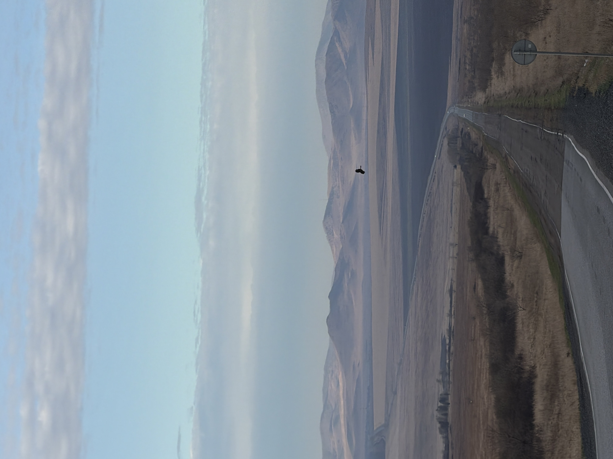 The image captures a landscape featuring a road running alongside fields and mountainous terrain under a partly cloudy sky. A bird is silhouetted against the sky in the middle ground. A road sign stands along the edge of the road in the foreground. The scene is likely located in or near the city of Сарагаш, Russia, as indicated in the prompt.