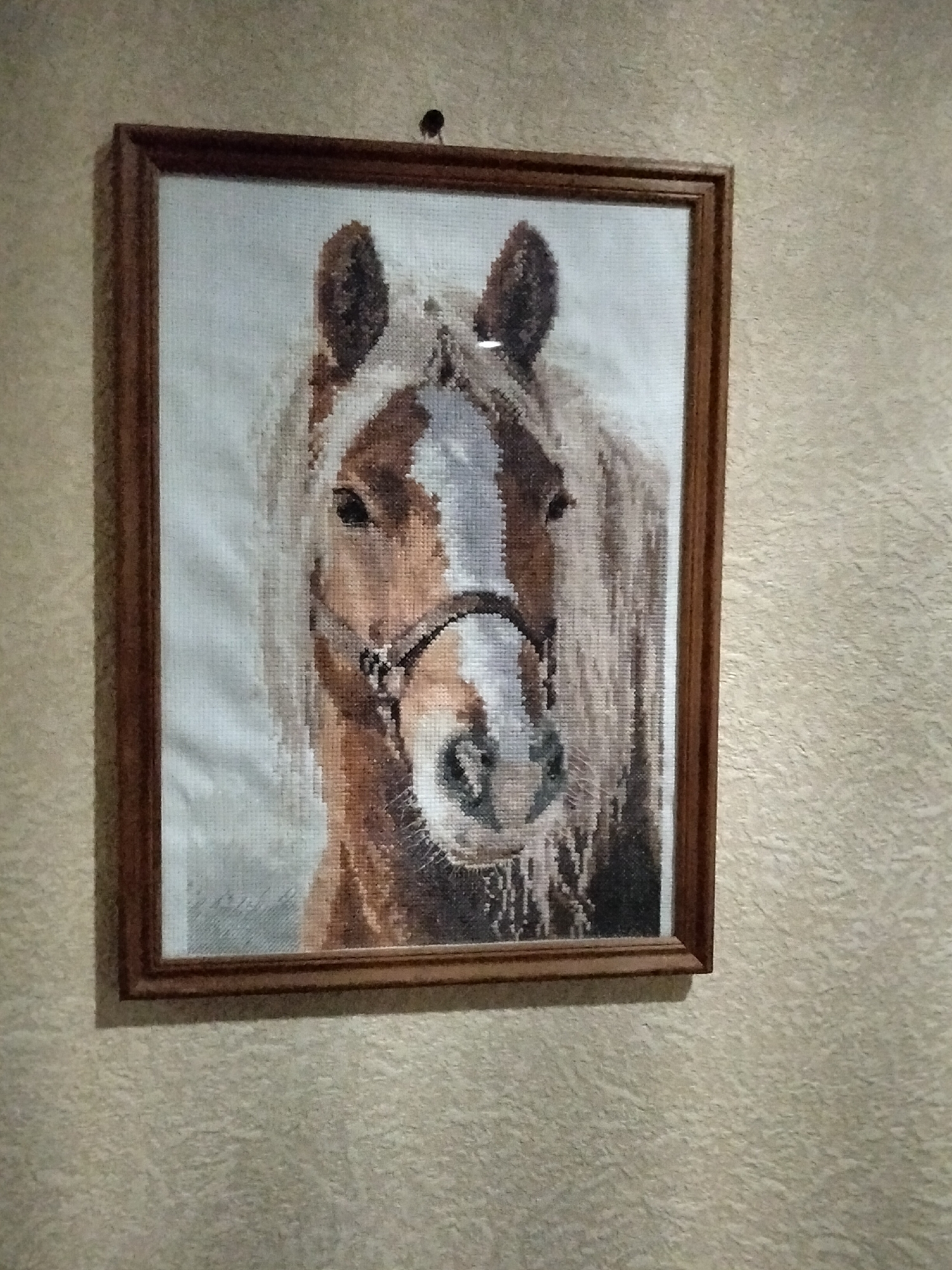 A framed tapestry featuring a horse's head is hung on a textured, light-brown wall. The tapestry is rectangular and is oriented vertically. The horse is depicted in profile, facing left, with a white blaze on its forehead and a dark mane. It appears to be wearing a bridle. The background of the tapestry is a light, mottled gray. The frame is wooden and brown. A small black hook is visible above the frame, suggesting how the tapestry is hung. The wall has a rough, almost stucco-like texture. The scene is indoors. The location is in the city of Nizhnedonskoy, Russia.
