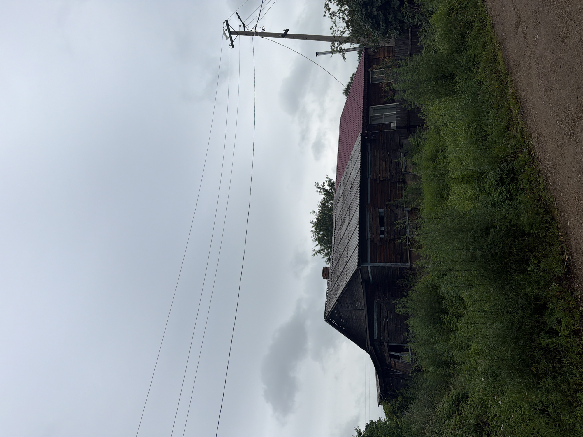 In Ptichnik, Russia, a weathered, wooden house with a red metal roof stands amidst overgrown green vegetation under a cloudy sky. Power lines stretch across the sky, supported by a utility pole. The house appears aged and somewhat dilapidated, with visible wood construction and some broken window panes. The surrounding area is densely covered in tall grasses and bushes, suggesting a rural or semi-rural setting. A dirt path is visible in the foreground.
