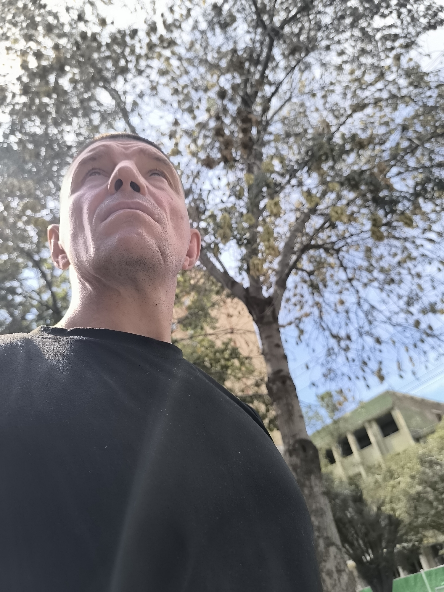 The image shows a low-angle, close-up shot of a man's face and upper torso as he looks upwards. He has short, dark hair and is wearing a black t-shirt. The background is blurred and out of focus, but appears to be an outdoor scene with trees and a building. The man's head and shoulders fill the majority of the frame. There is a large tree trunk to the right of the man, and its branches with leaves are visible overhead, silhouetted against a bright sky. A light-colored building with a green roof is visible in the distance, to the right of the tree. The overall lighting suggests it is daytime. The image does not contain enough information to determine a specific location within Ürümqi, China.