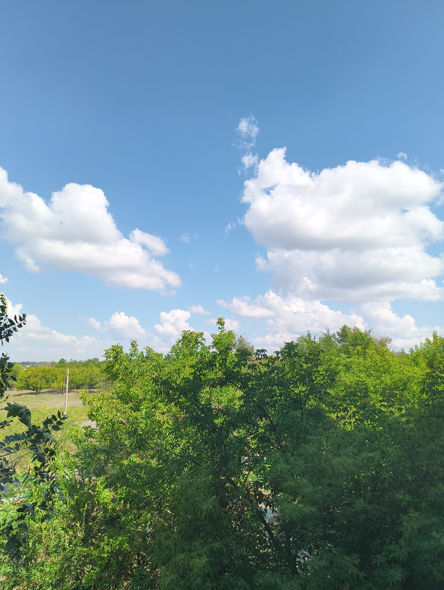 The image depicts an outdoor scene with a clear blue sky filled with fluffy white clouds. In the foreground, lush green trees dominate the lower half of the frame, their leaves appearing vibrant and healthy. Beyond the trees, a landscape unfolds with more greenery, appearing to be fields or orchards, with a light pole visible in the distance. The overall impression is one of a bright, sunny day in a rural or semi-rural setting. The location is unknown.