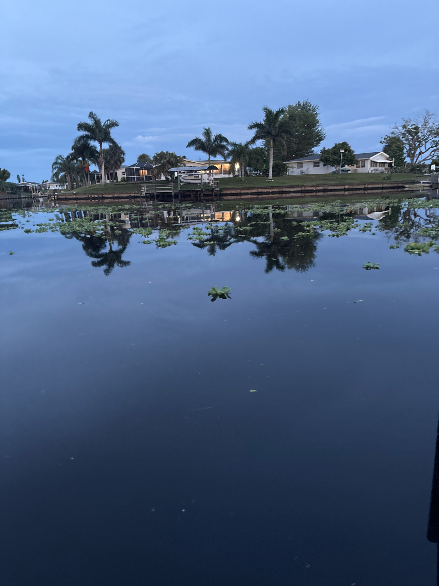 A dusk-time vertical shot shows a calm, dark body of water with reflections of palm trees and houses lining the far bank. Several lily pads float on the surface of the water. The sky is a deep, hazy blue, indicative of twilight. On the far bank, several houses with lights on are visible, some with screened-in porches. Palm trees, some tall and slender, others shorter and fuller, are interspersed among the houses. A wooden dock extends into the water from the bank. The scene is characteristic of a residential canal in North Port, Florida, a city known for its extensive network of waterways.