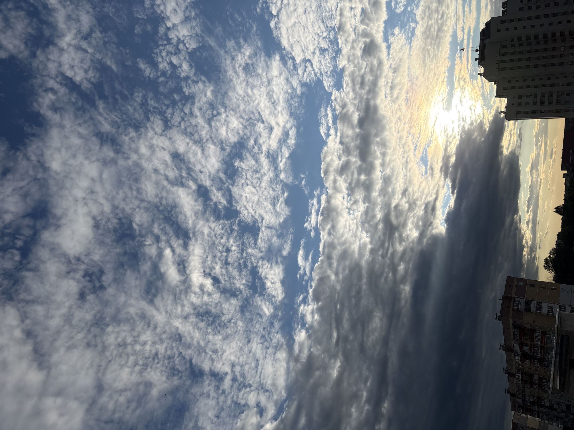 A vertical, eye-level shot captures a vibrant sky above an urban landscape, with the city of Vitebsk, Belarus, implied by its distinctive Soviet-era apartment buildings. The sky is a dramatic canvas, filled with a myriad of clouds. In the upper two-thirds of the image, wispy, white cirrocumulus clouds stretch across a clear blue sky, creating a textured, dappled effect. Below these, darker, more substantial stratocumulus clouds dominate the lower third, some appearing heavy and grey, hinting at an approaching storm or recent rain. The sun is partially obscured by these darker clouds, but its rays break through, casting a warm, iridescent glow, tinged with yellow and pink, onto the cloud formations.
Silhouetted against the bright sky are the rooftops of two apartment buildings. The building on the left is a typical, multi-story residential block with visible balconies. To its right, a taller, lighter-colored building stands out, its facade dotted with windows. A flagpole with a small flag is visible on the very top of this building. Trees are also visible along the horizon line, adding a touch of green to the urban scene. The overall impression is one of a dynamic sky over a residential area, likely captured during the late afternoon or early evening, given the quality of the light. No people are discernible in the image.