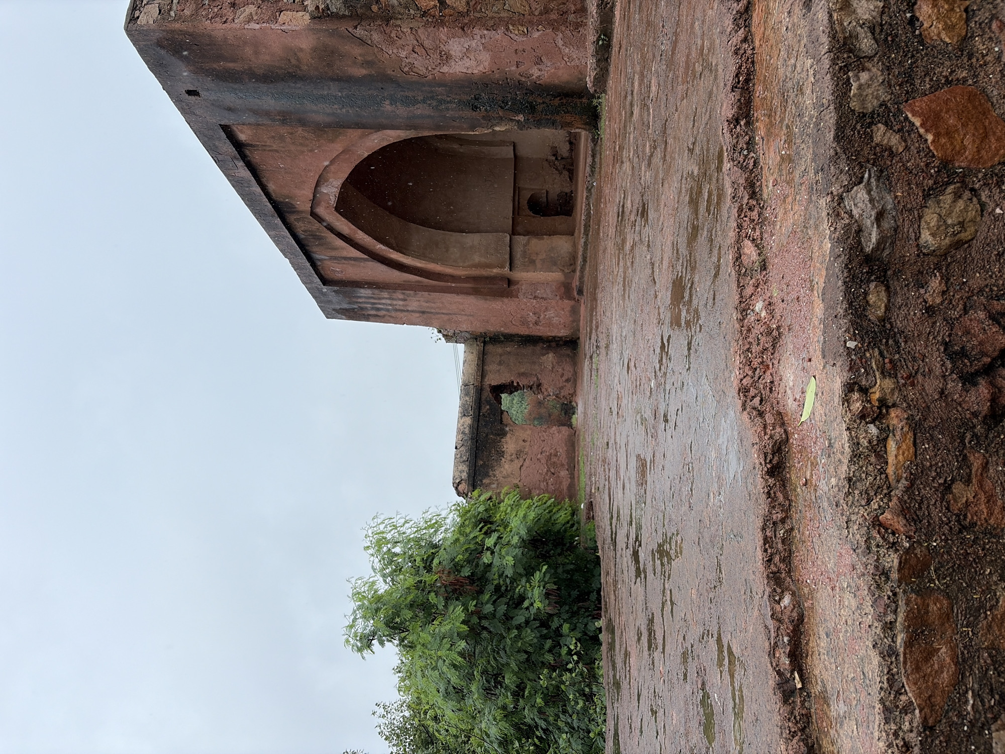 The image depicts a section of the historical ruins of Feroz Shah Kotla, located in Delhi, India. The foreground features a wet, red stone courtyard, possibly paved, with puddles of water indicating recent rainfall. The ground is uneven and appears to be made of large, reddish-brown stones and dirt. To the left, a lush green tree with many leaves stands tall, its branches extending towards the sky. Behind the tree, a section of a weathered red sandstone wall is visible, with a broken archway allowing a glimpse of the landscape beyond.
Dominating the right side of the image is a large, imposing arched structure, characteristic of Mughal architecture, also constructed from red sandstone. The archway is deep and recessed, with smaller niches or openings visible within its depth. The stone surfaces are aged, showing signs of wear, discoloration, and some dark streaks, likely from moss or water runoff. The sky above is overcast and pale, suggesting a cloudy or rainy day, with a few specks that could be raindrops or dust. The overall scene conveys a sense of historical grandeur and the passage of time, set against a natural backdrop of greenery and atmospheric weather.
